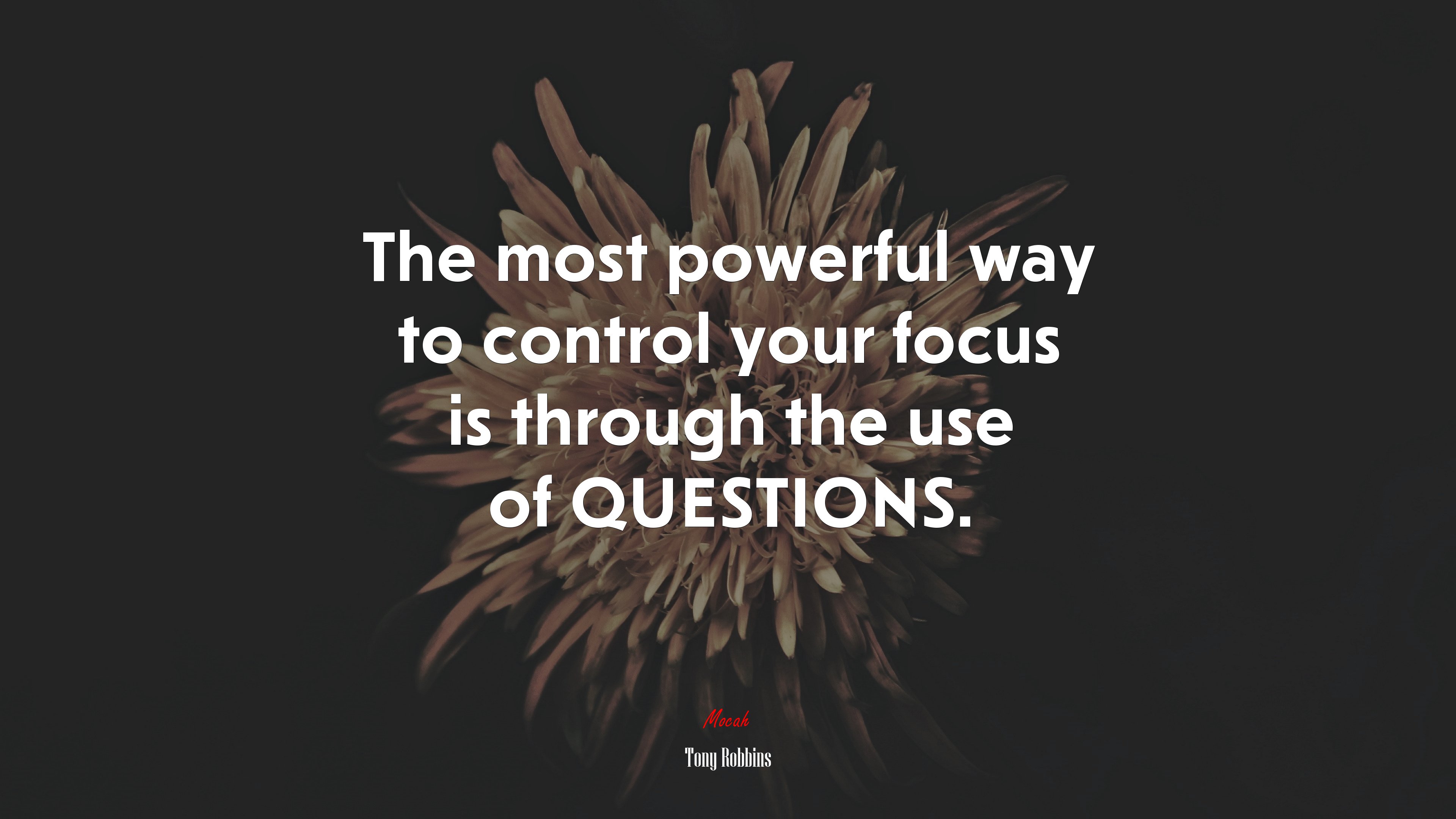 The most powerful way to control your focus is through the use of QUESTIONS. | Tony Robbins quote HD Wallpaper