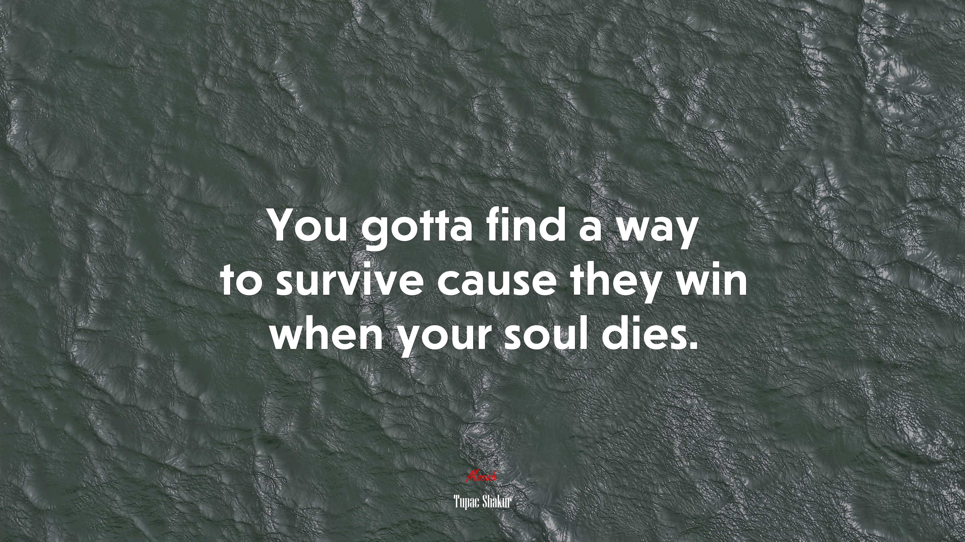 You gotta find a way to survive cause they win when your soul dies. | Tupac Shakur quote HD Wallpaper