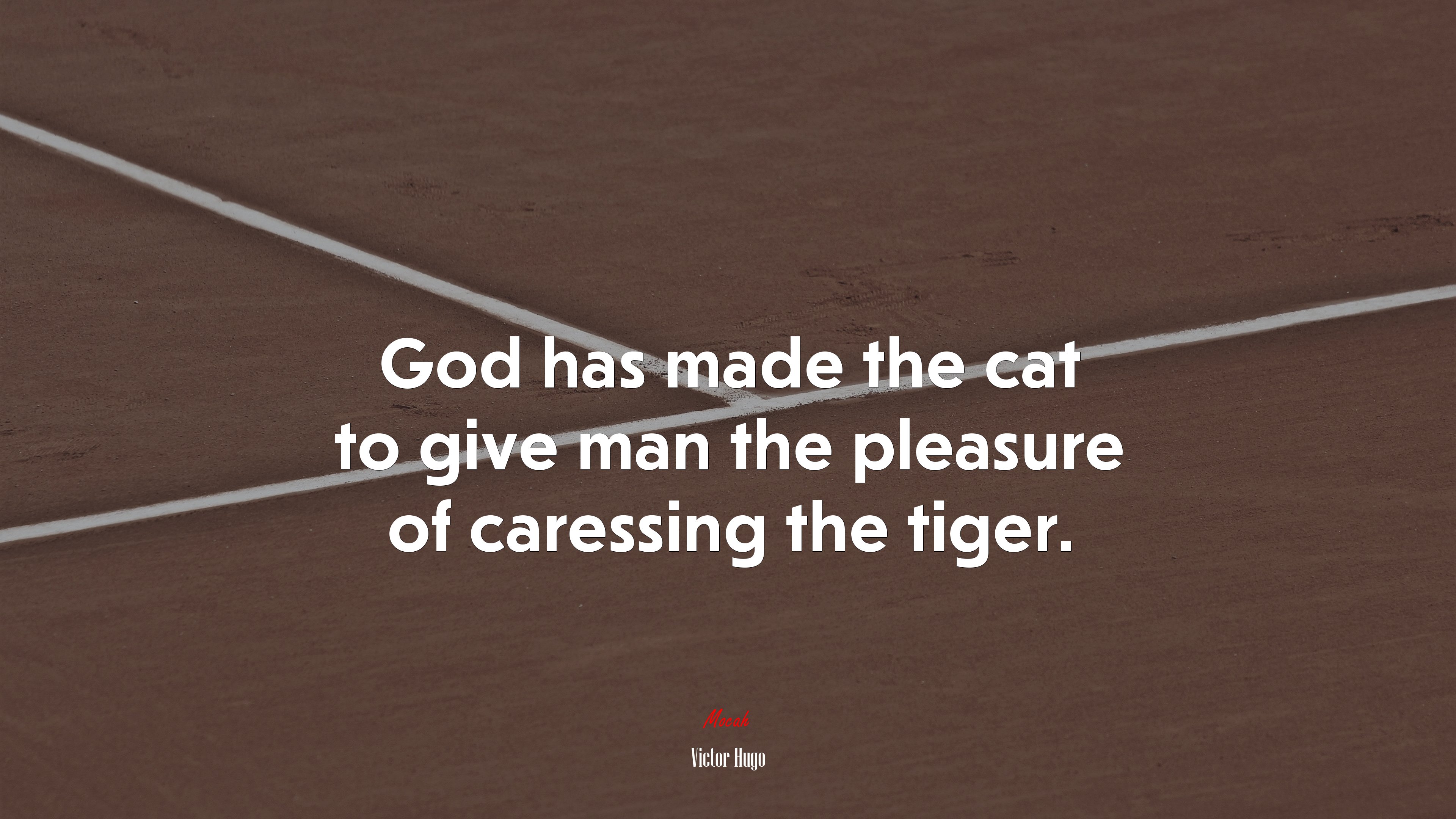 God has made the cat to give man the pleasure of caressing the tiger. | Victor Hugo quote HD Wallpaper
