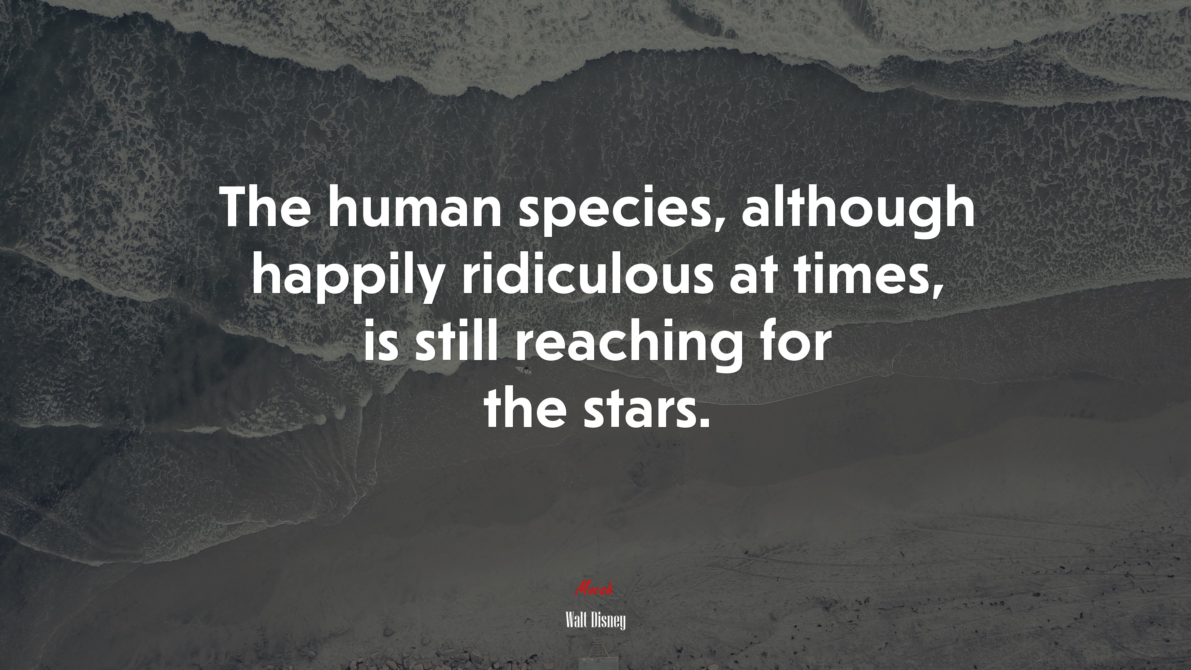 The human species, although happily ridiculous at times, is still reaching for the stars. | Walt Disney quote HD Wallpaper
