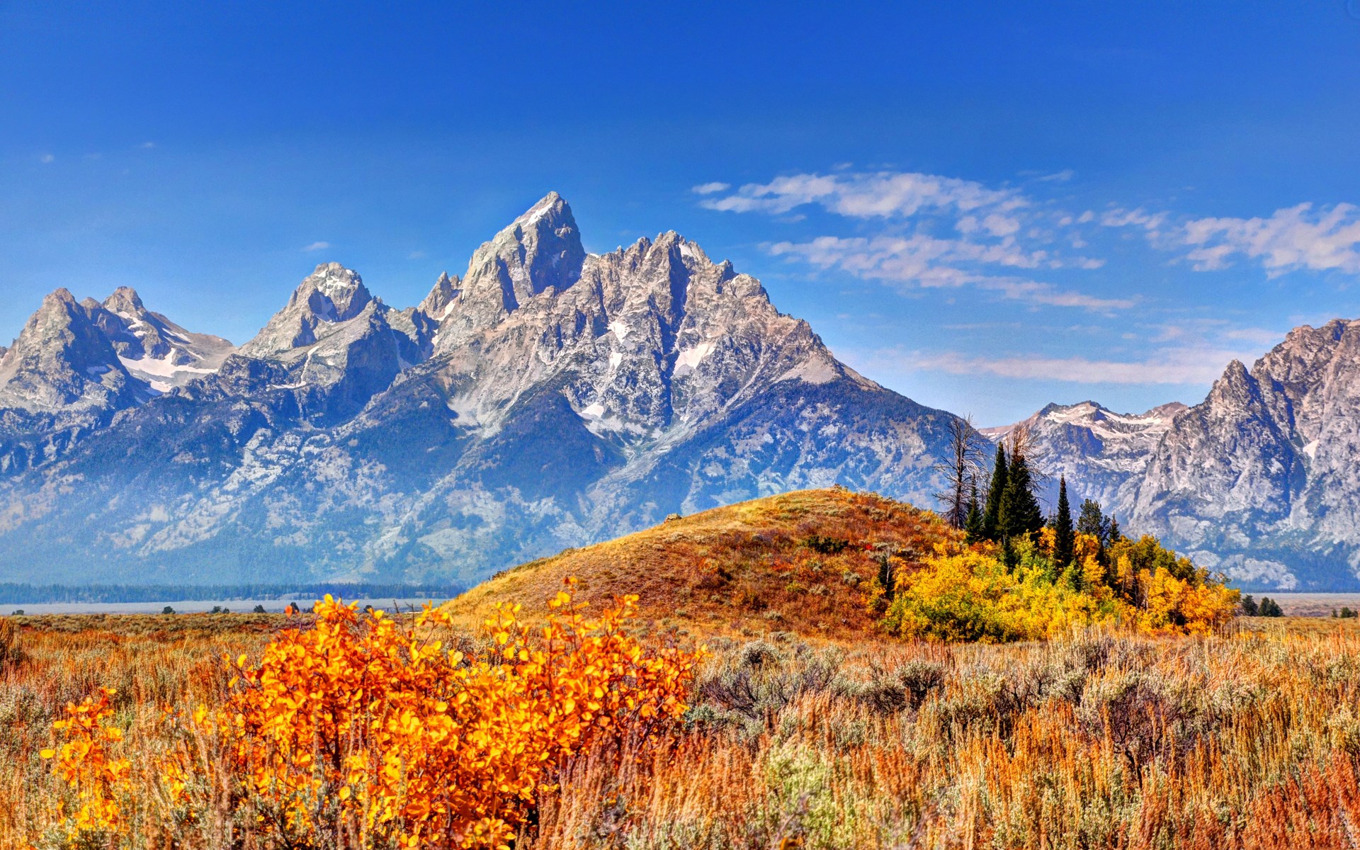 Grand Teton National Park in Autumn HD Wallpaper