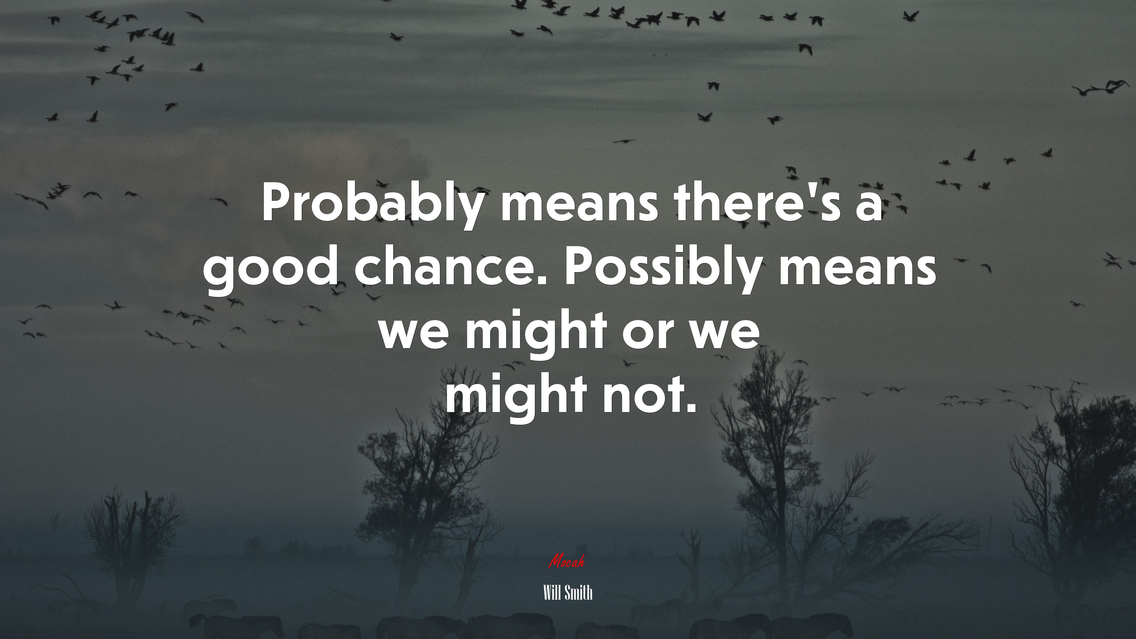 Probably means there’s a good chance. Possibly means we might or we might not. | Will Smith quote HD Wallpaper