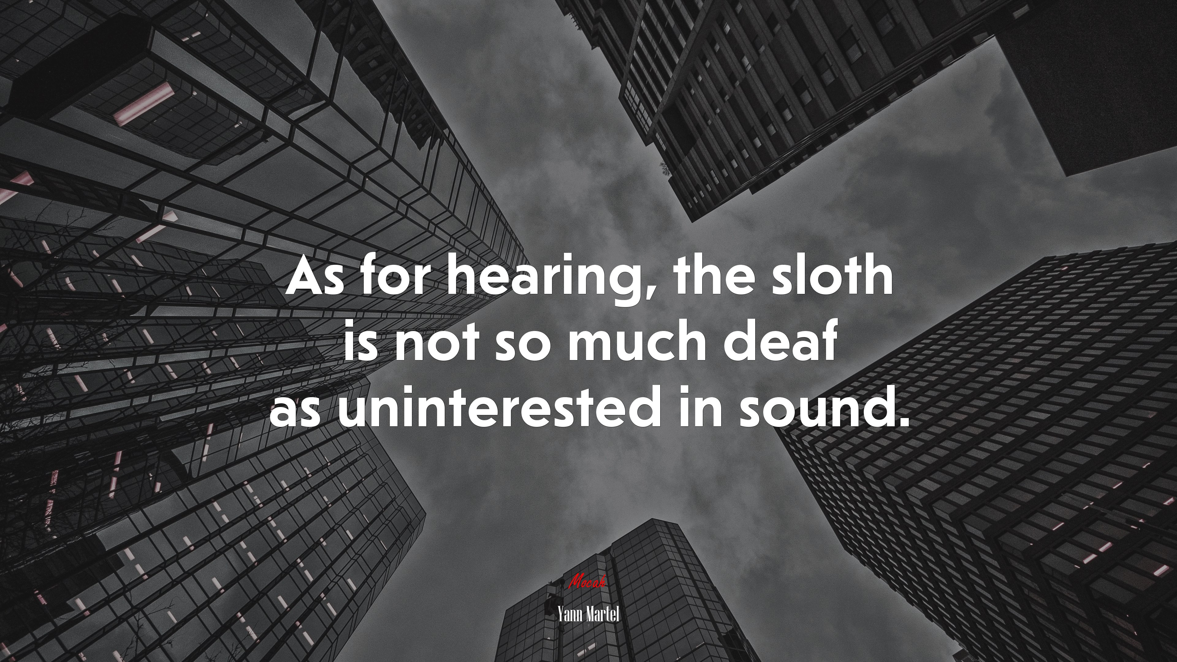 As for hearing, the sloth is not so much deaf as uninterested in sound. | Yann Martel quote HD Wallpaper