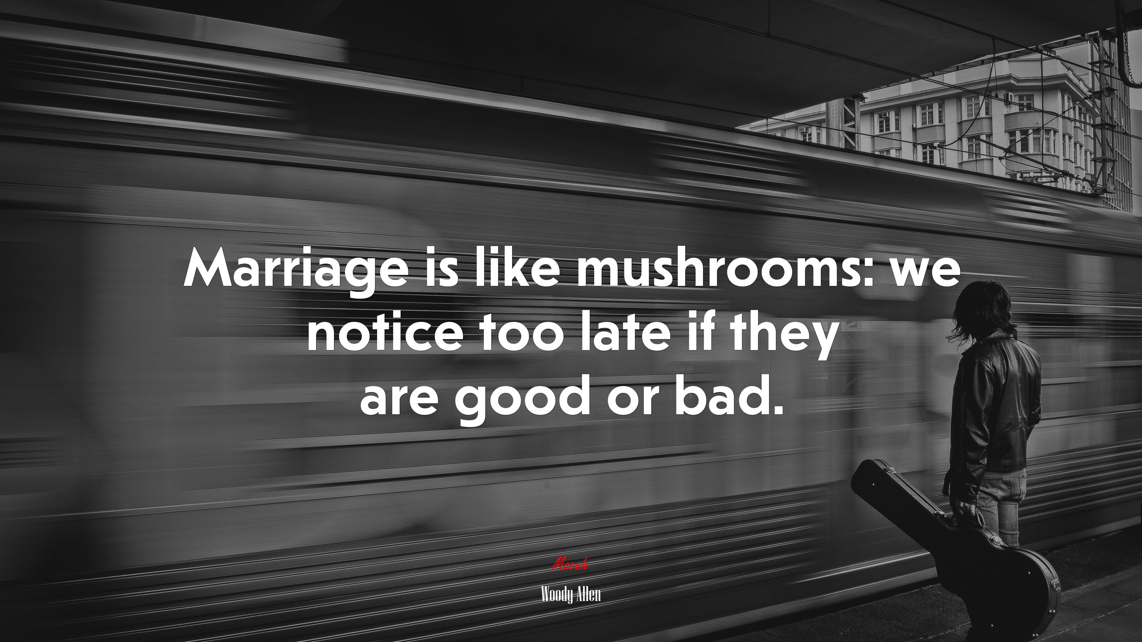 Marriage is like mushrooms: we notice too late if they are good or bad. | Woody Allen quote HD Wallpaper