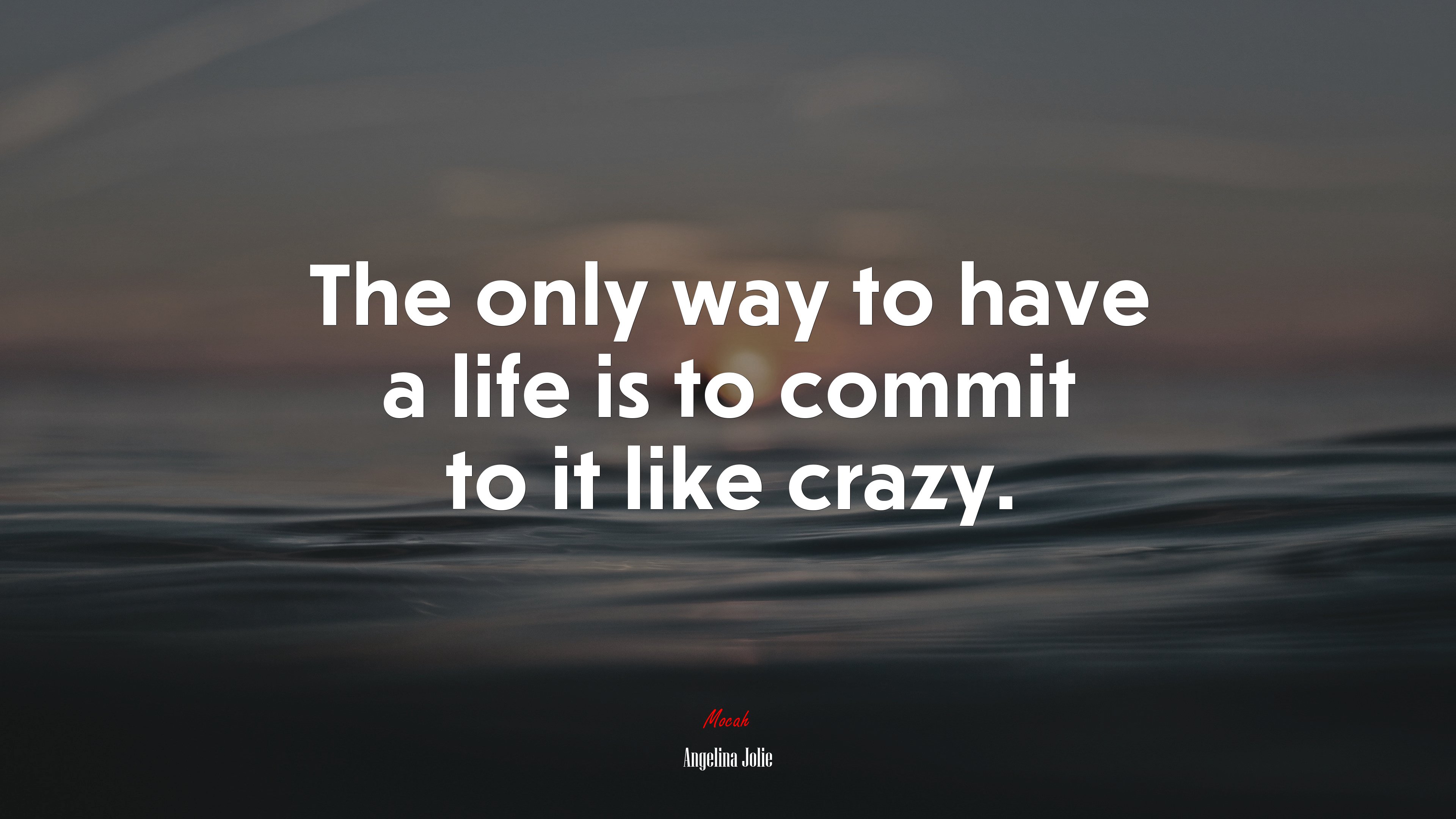 The only way to have a life is to commit to it like crazy. | Angelina Jolie quote HD Wallpaper