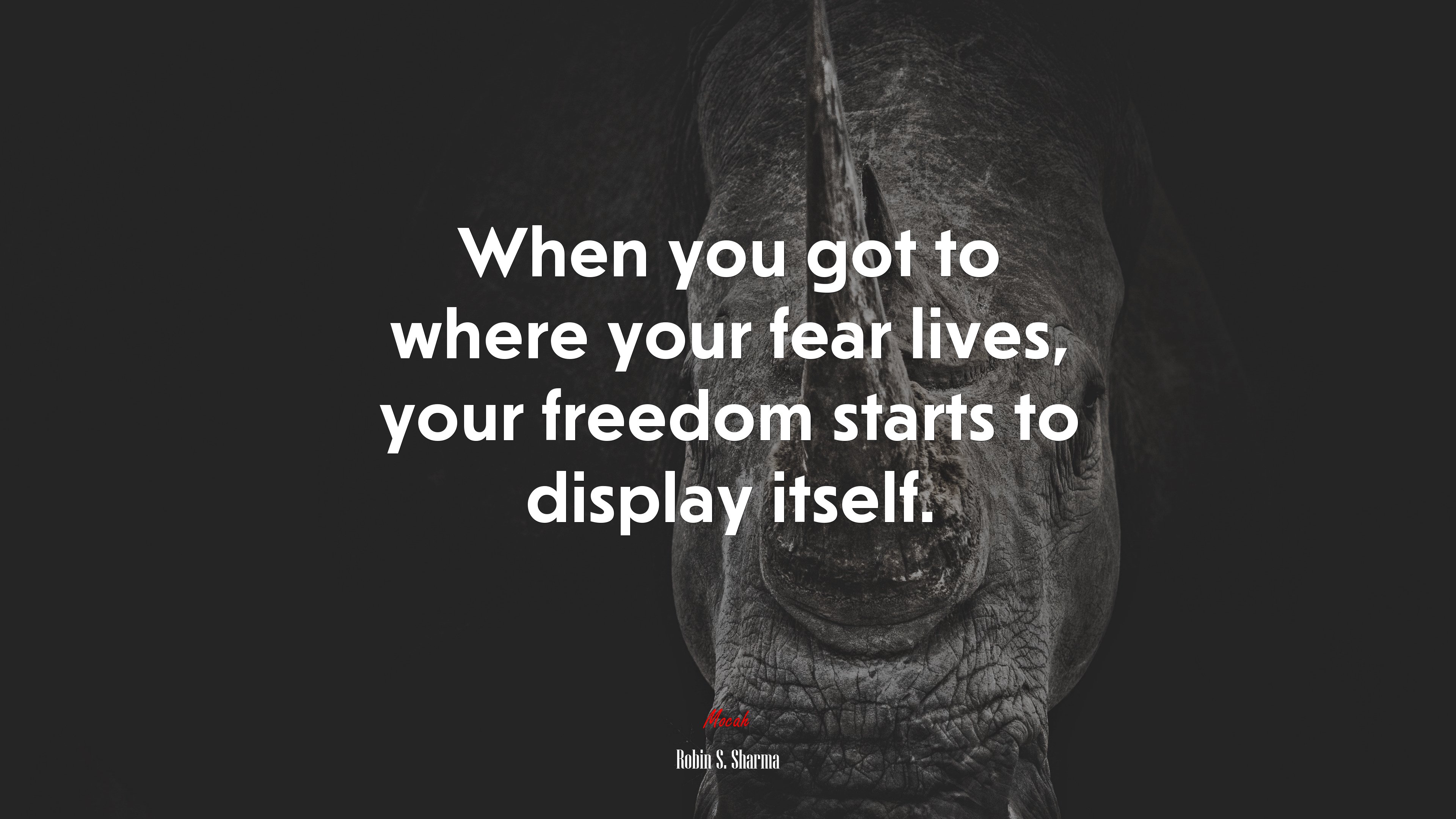 When you got to where your fear lives, your freedom starts to display itself. | Robin S. Sharma quote HD Wallpaper
