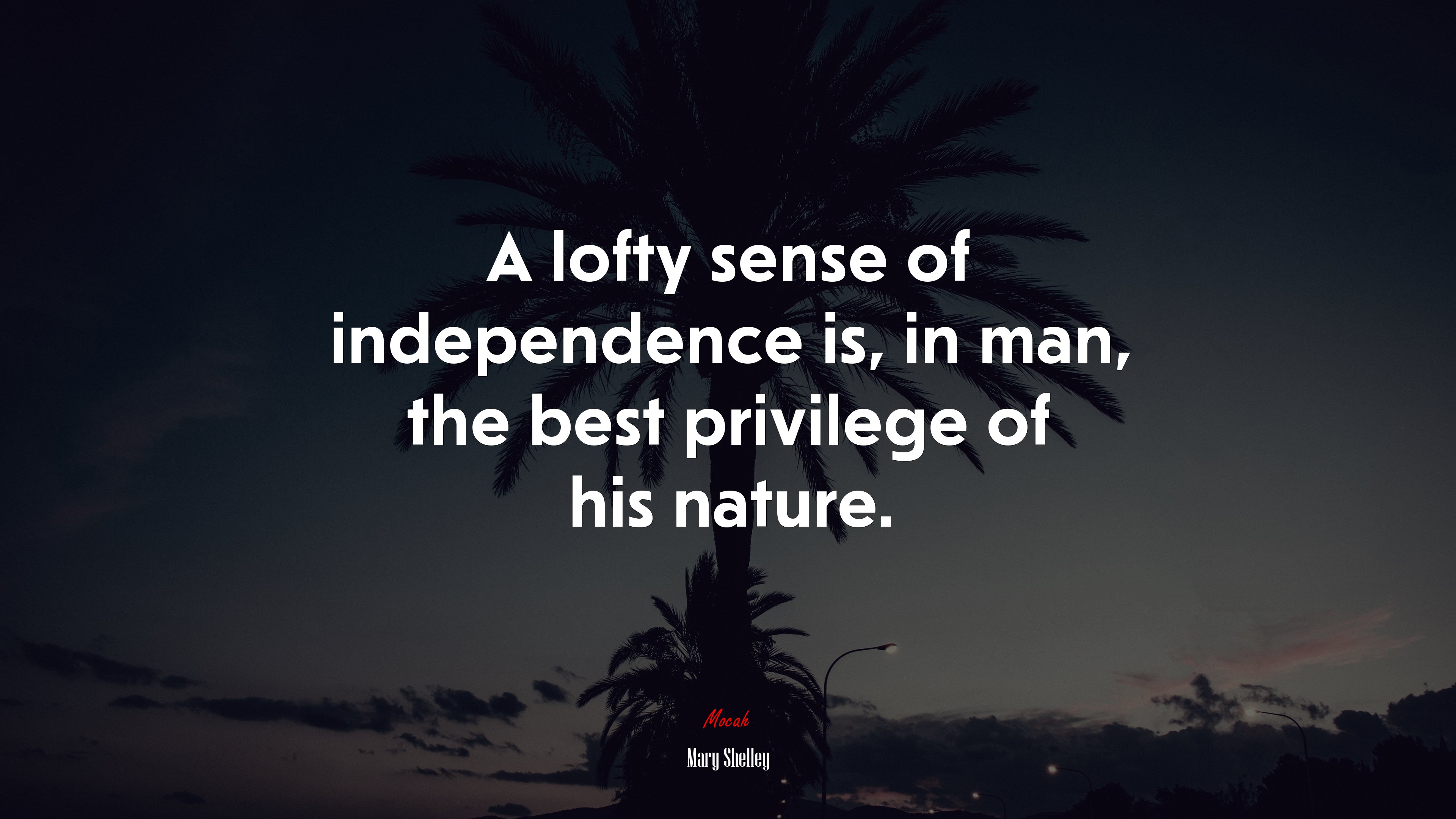 A lofty sense of independence is, in man, the best privilege of his nature. | Mary Shelley quote HD Wallpaper