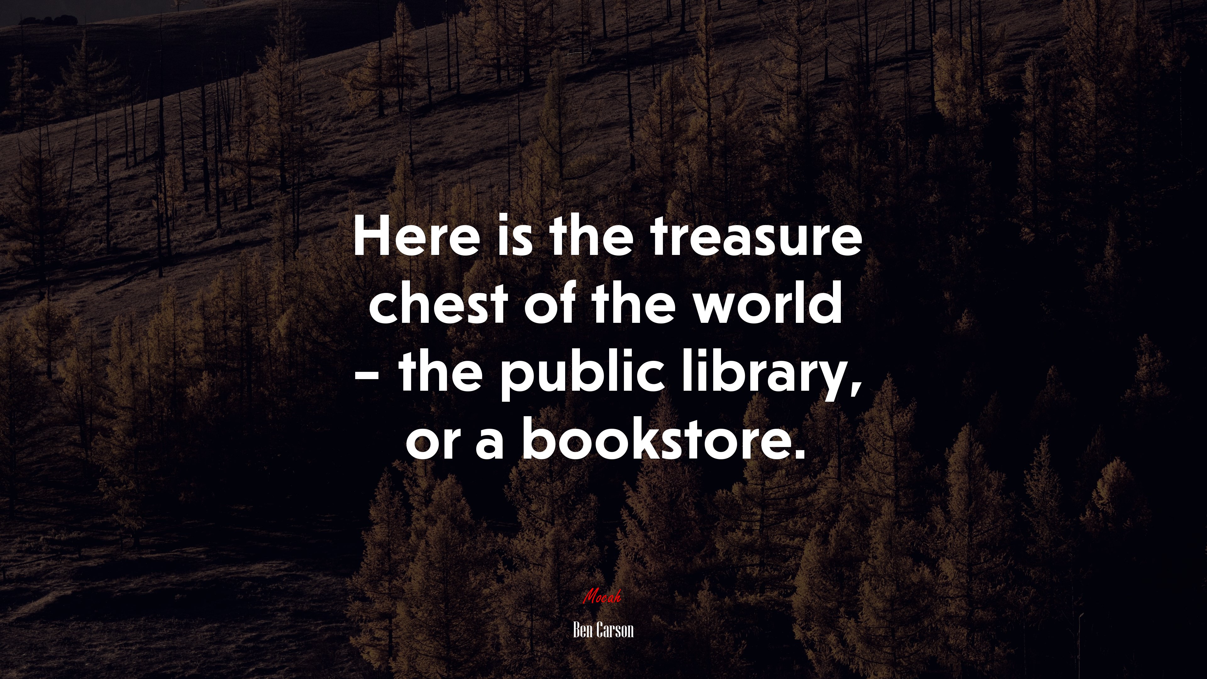 Here is the treasure chest of the world – the public library, or a bookstore. | Ben Carson quote HD Wallpaper