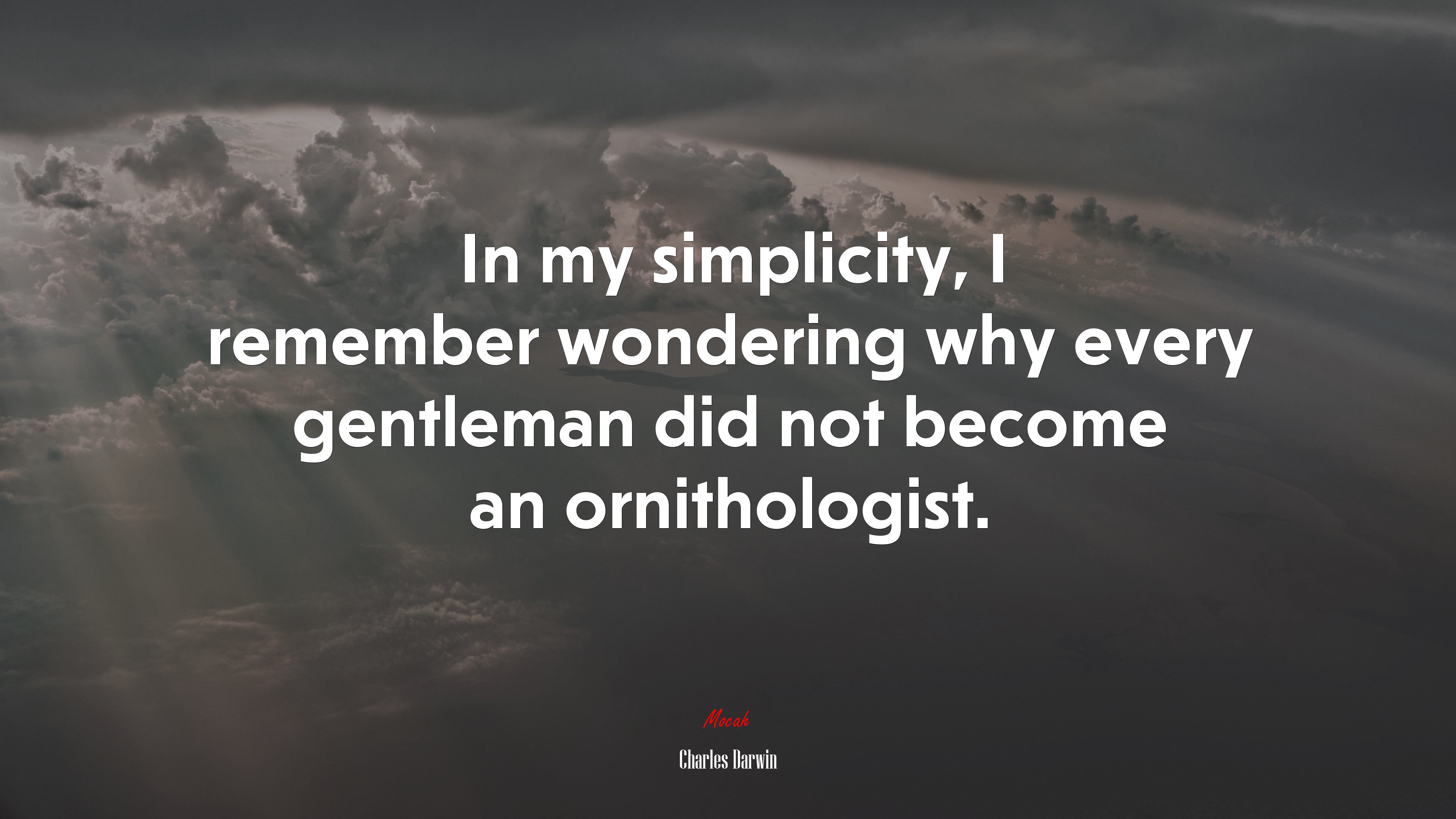 In my simplicity, I remember wondering why every gentleman did not become an ornithologist. | Charles Darwin quote HD Wallpaper