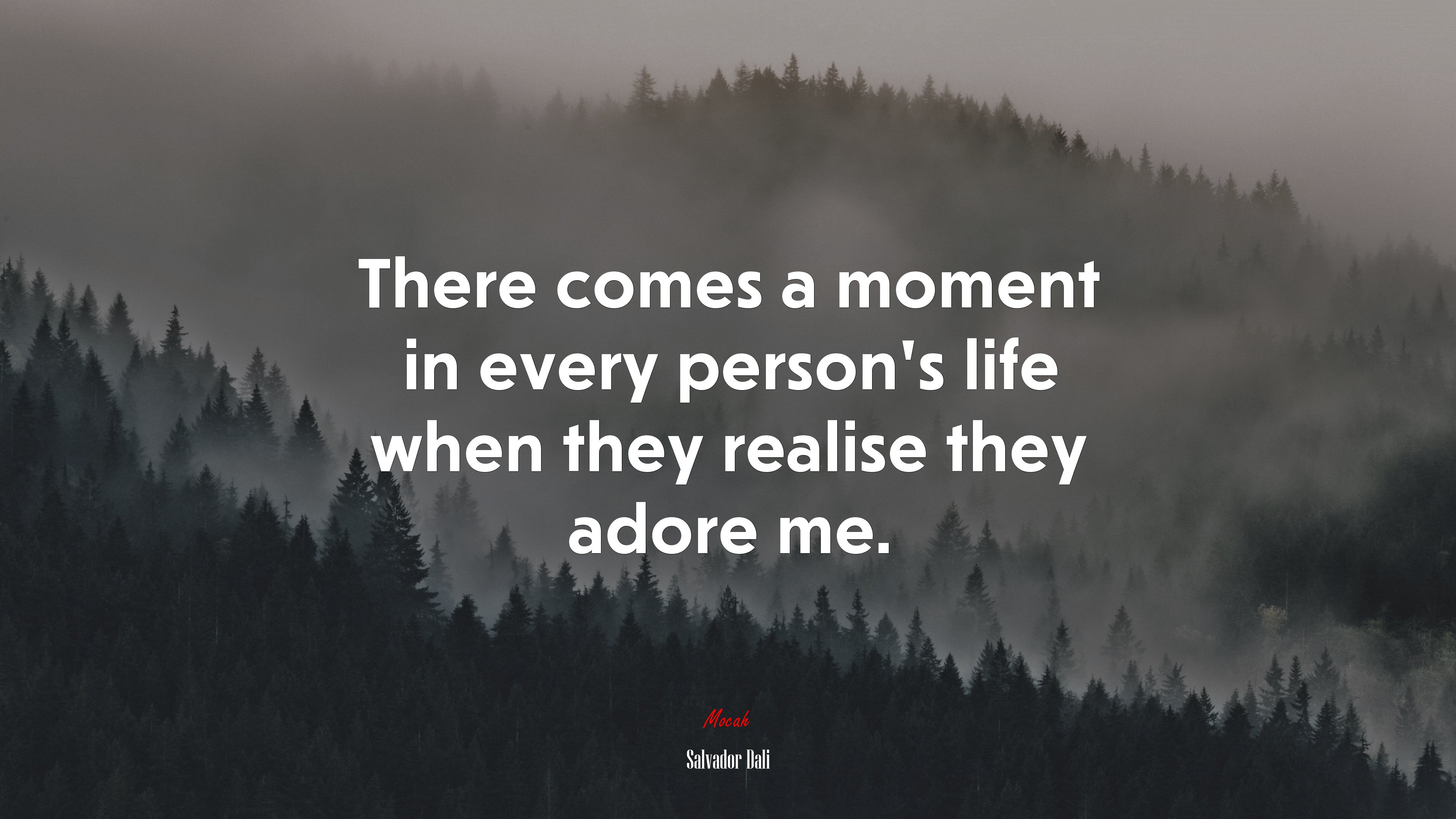 There comes a moment in every person’s life when they realise they adore me. | Salvador Dalí quote HD Wallpaper