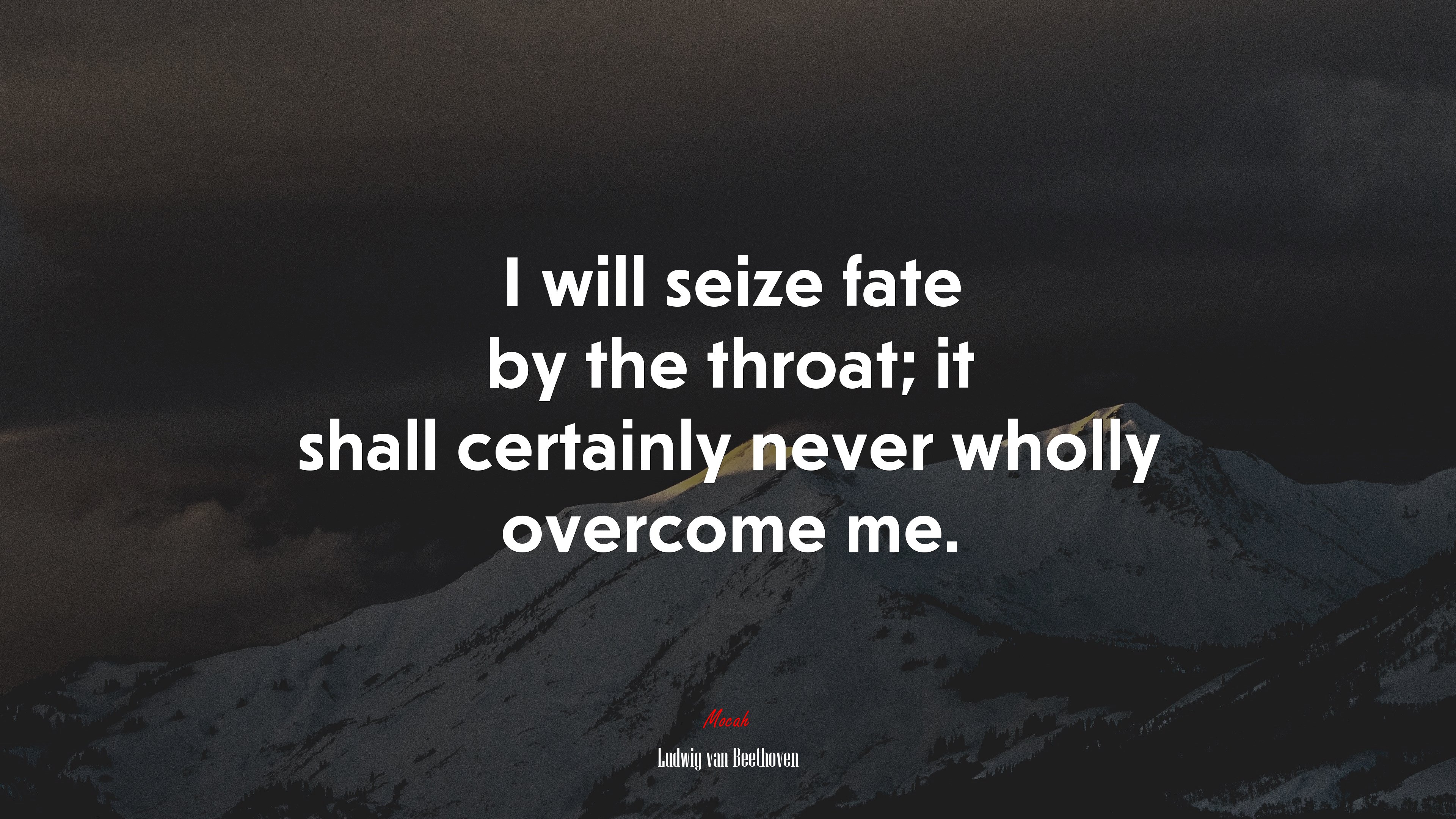 I will seize fate by the throat; it shall certainly never wholly overcome me. | Ludwig van Beethoven quote HD Wallpaper
