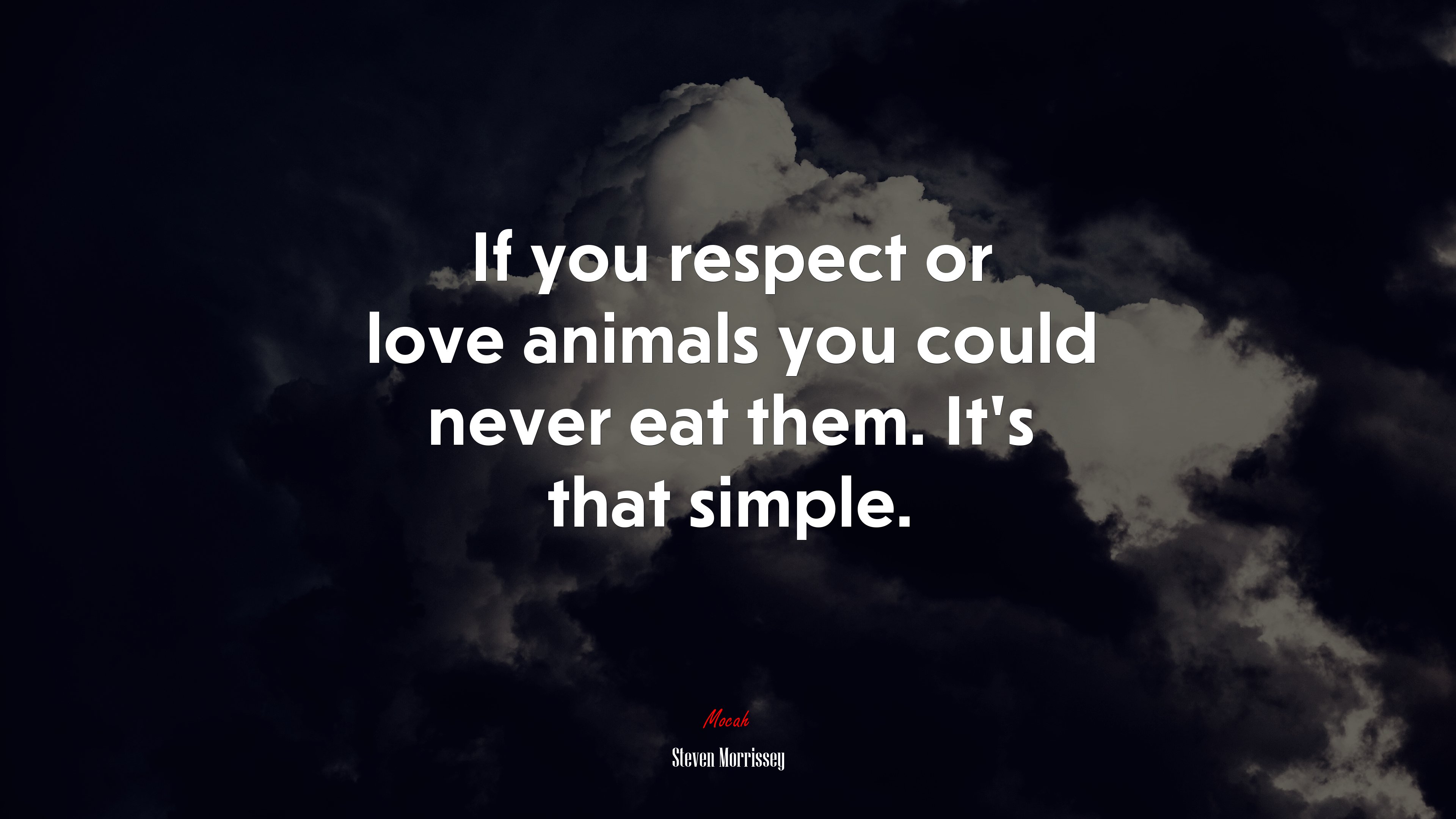 If you respect or love animals you could never eat them. It’s that simple. | Steven Morrissey quote HD Wallpaper