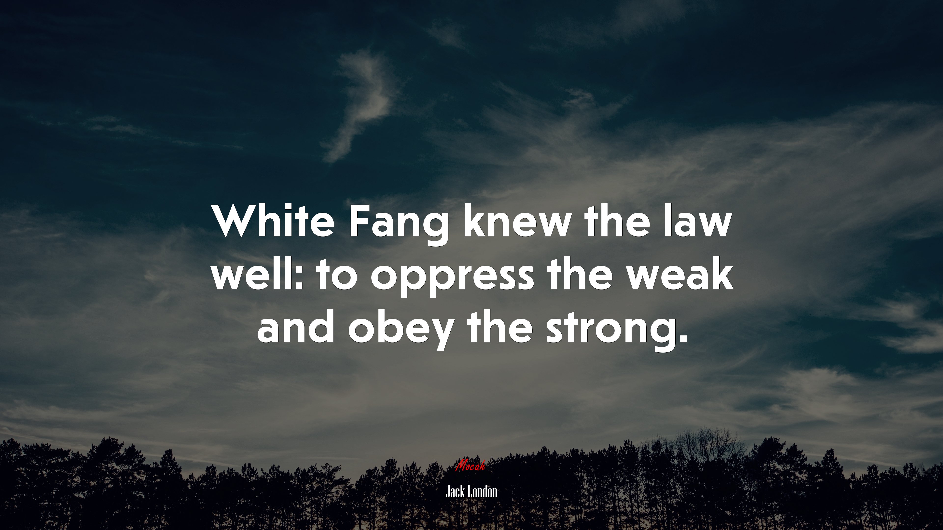 White Fang knew the law well: to oppress the weak and obey the strong. | Jack London quote HD Wallpaper