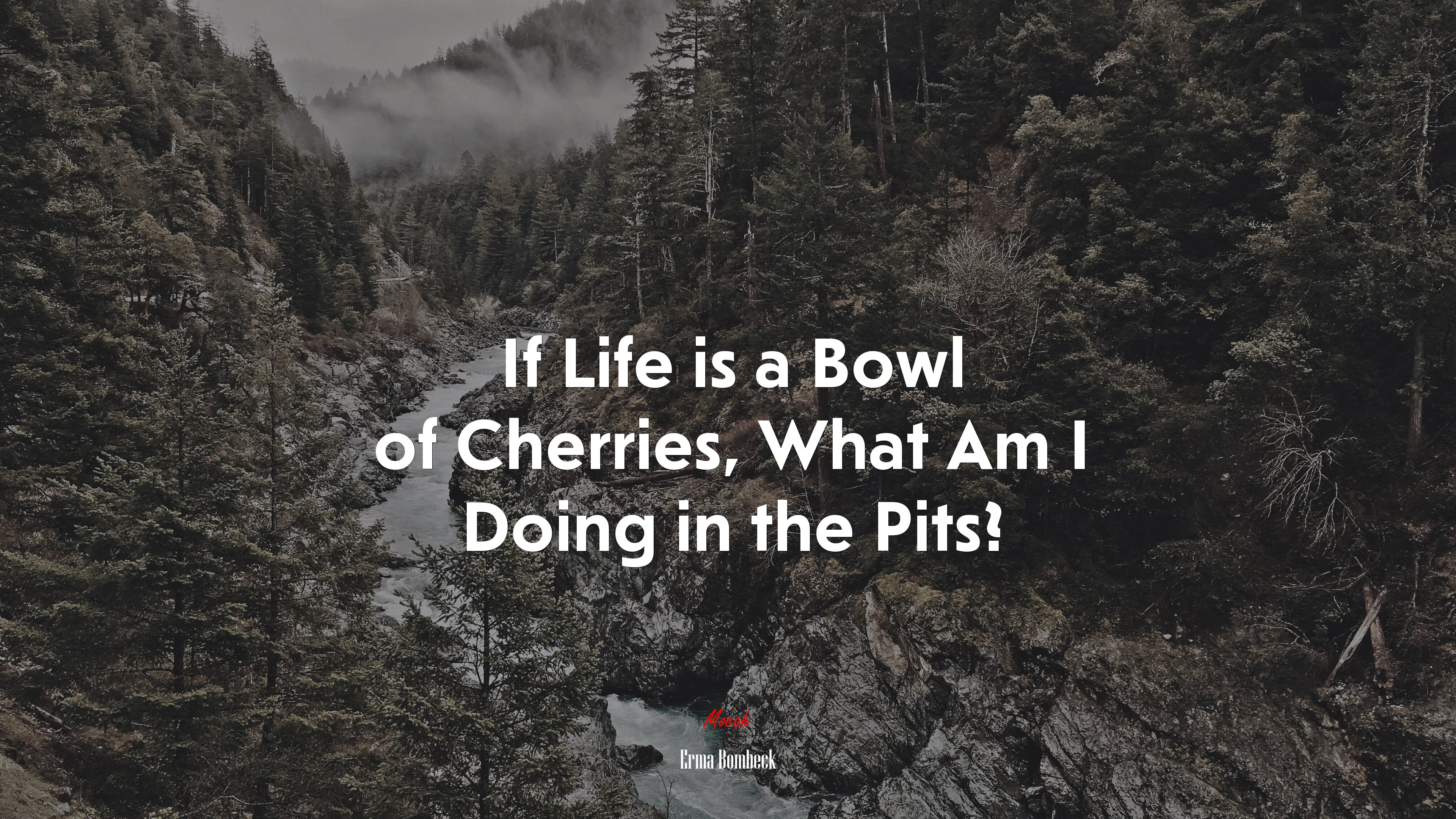If Life is a Bowl of Cherries, What Am I Doing in the Pits? | Erma Bombeck quote HD Wallpaper