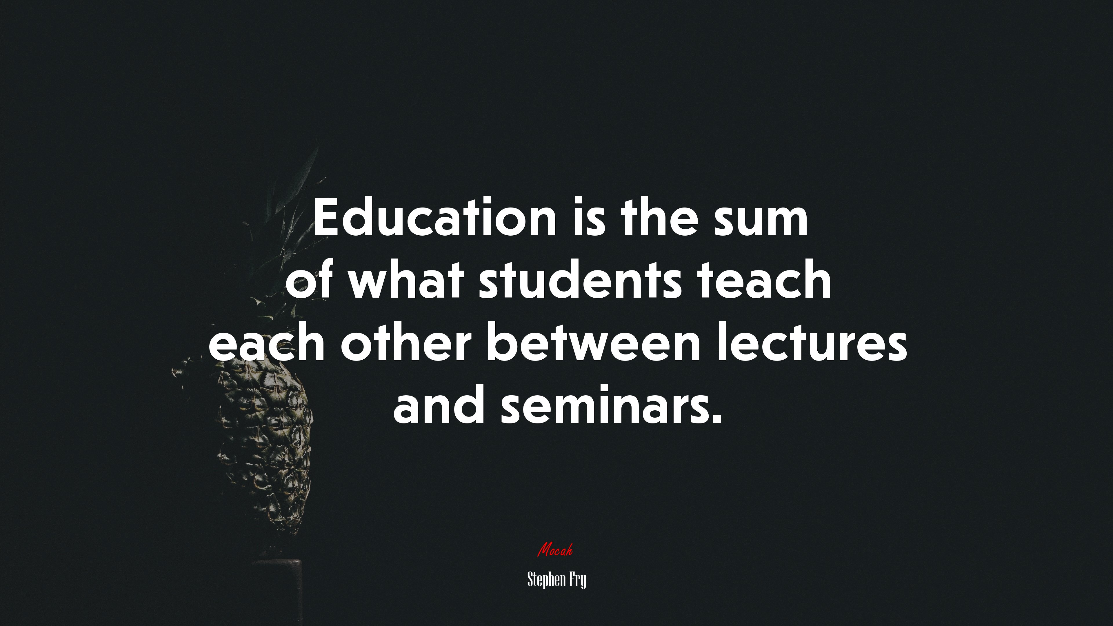 Education is the sum of what students teach each other between lectures and seminars. | Stephen Fry quote HD Wallpaper