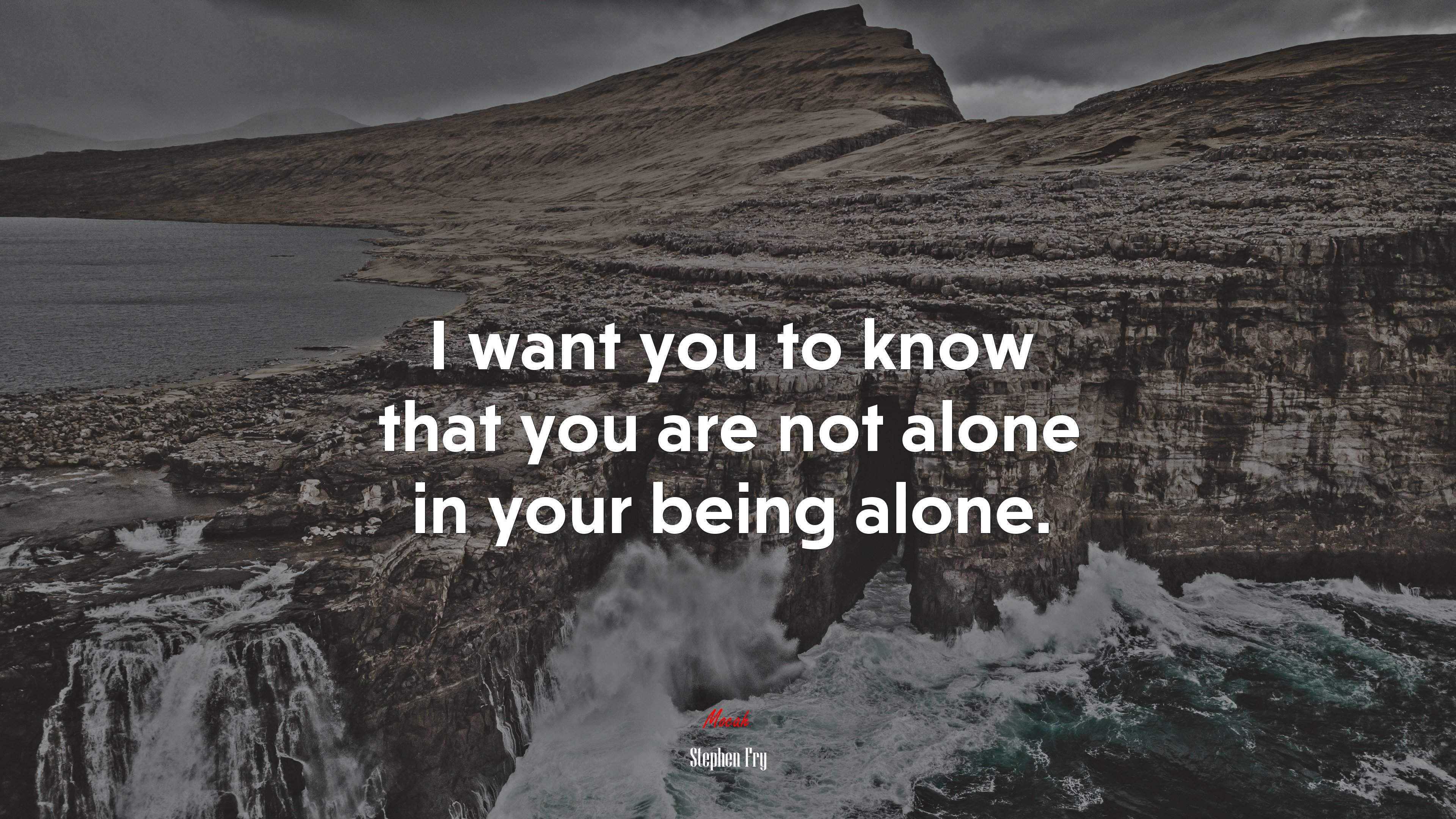 I want you to know that you are not alone in your being alone. | Stephen Fry quote HD Wallpaper