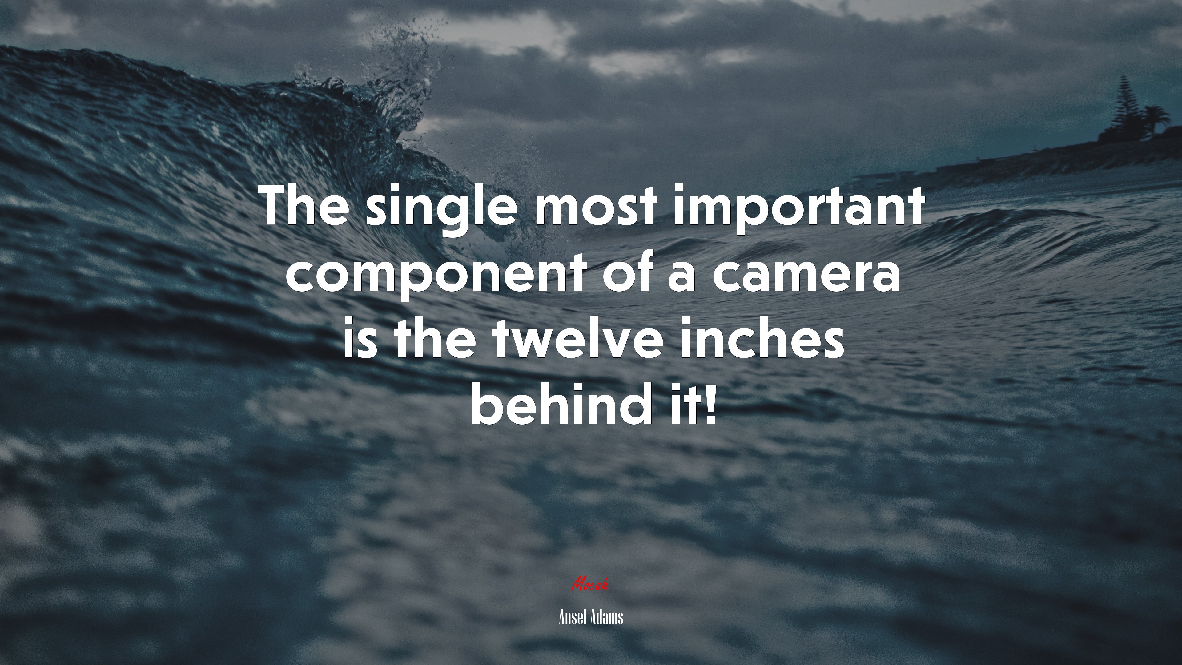 The single most important component of a camera is the twelve inches behind it! | Ansel Adams quote HD Wallpaper