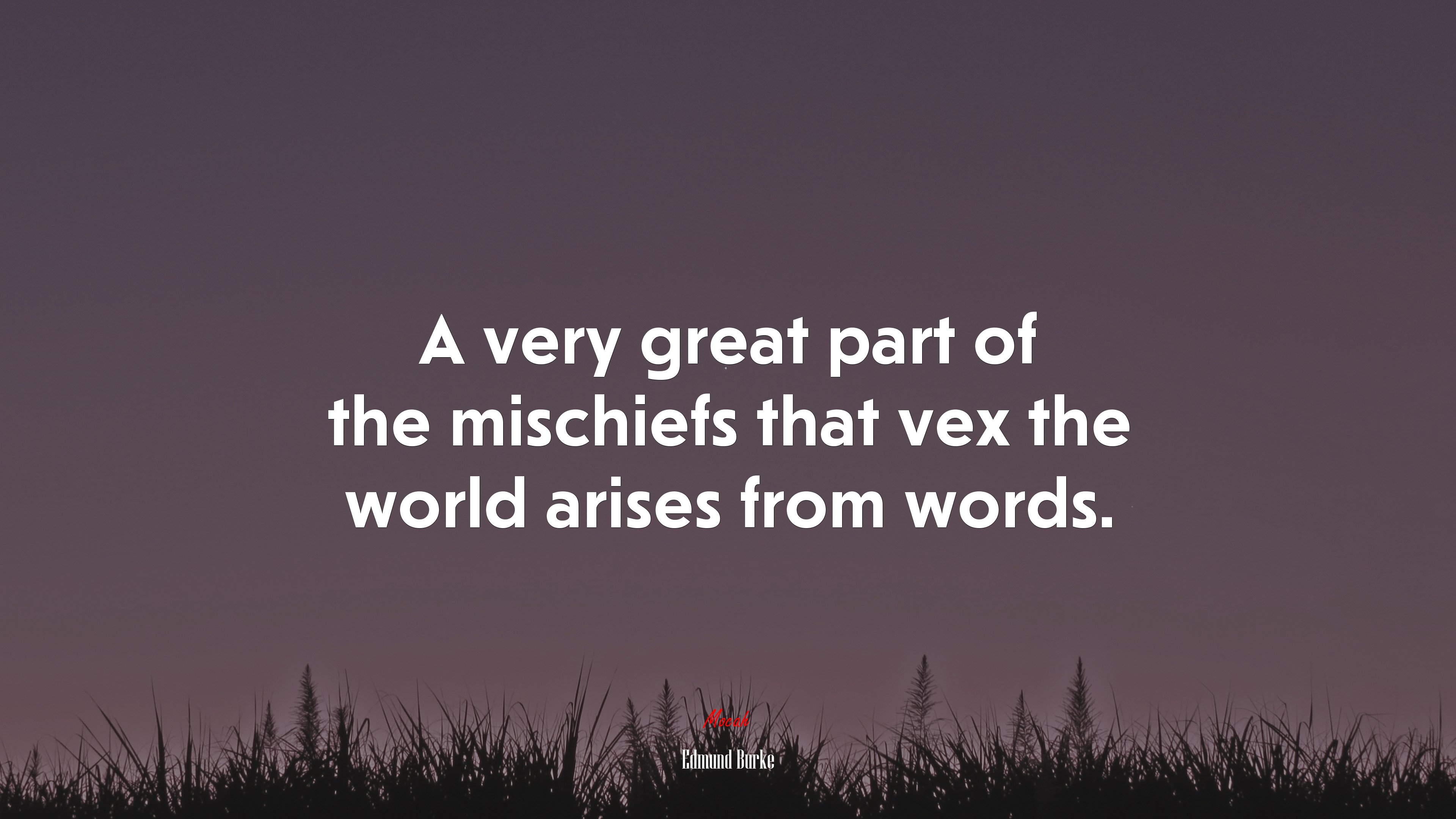 A very great part of the mischiefs that vex the world arises from words. | Edmund Burke quote HD Wallpaper