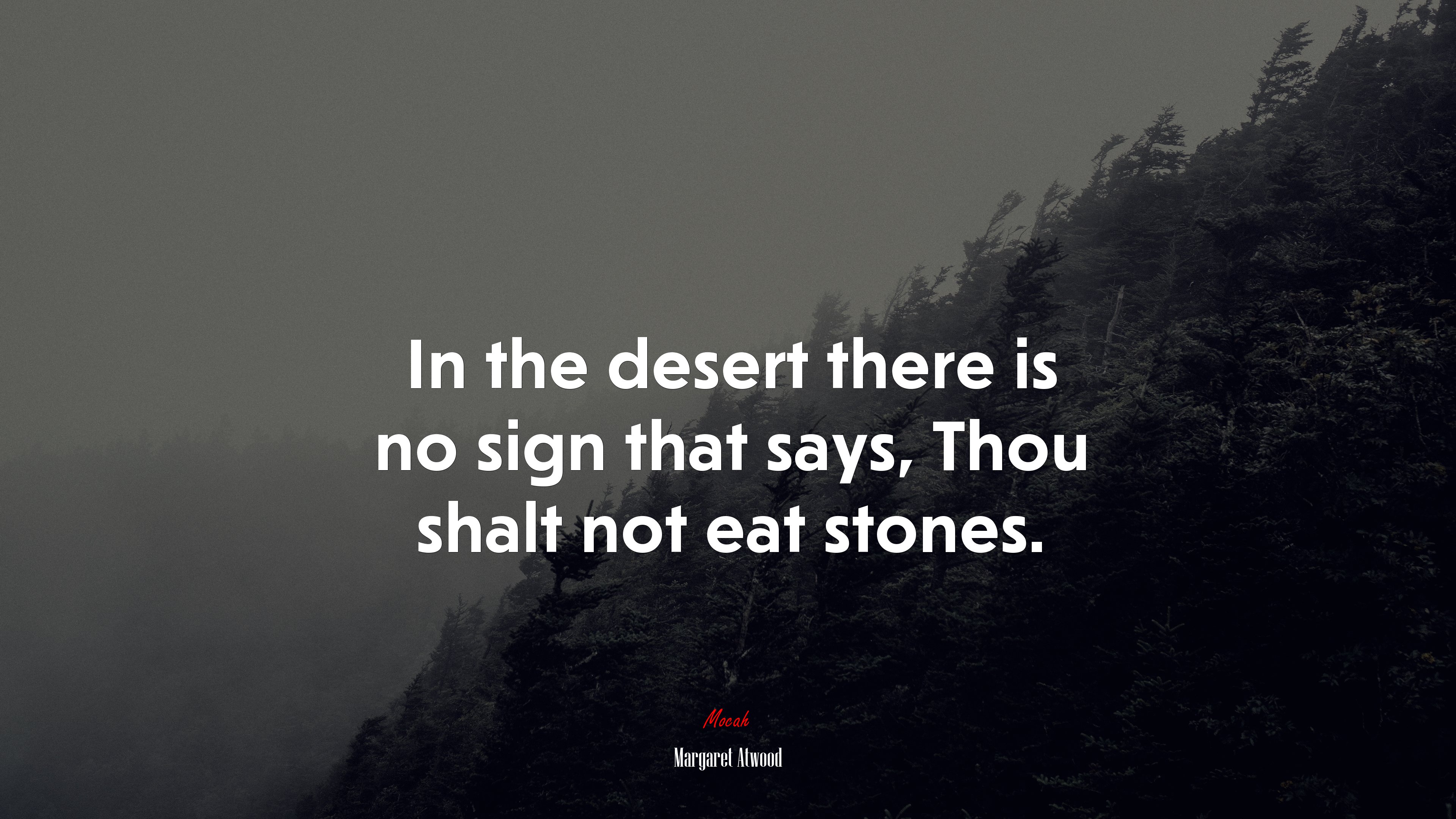 In the desert there is no sign that says, Thou shalt not eat stones. | Margaret Atwood quote HD Wallpaper
