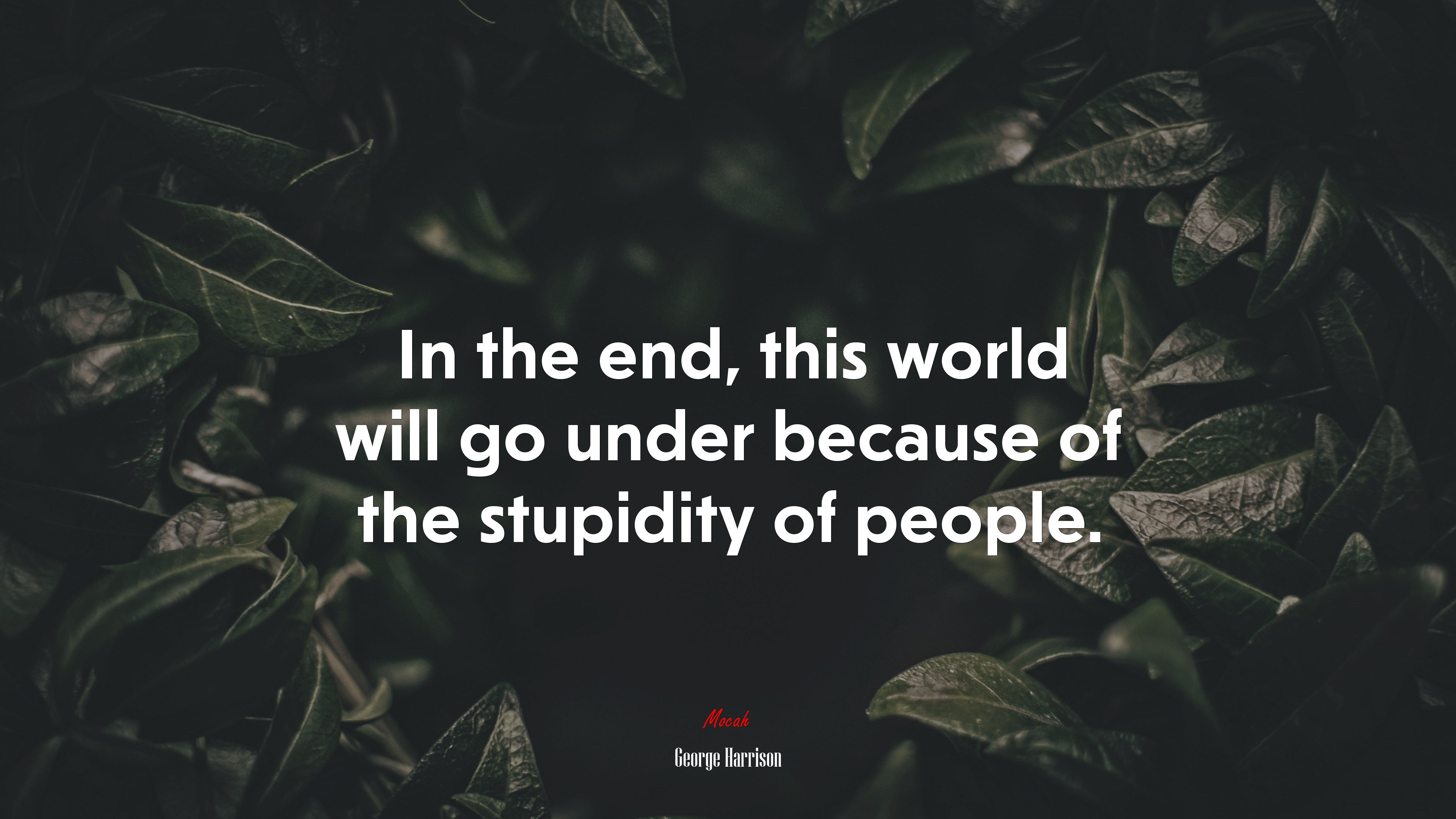 In the end, this world will go under because of the stupidity of people. | George Harrison quote HD Wallpaper