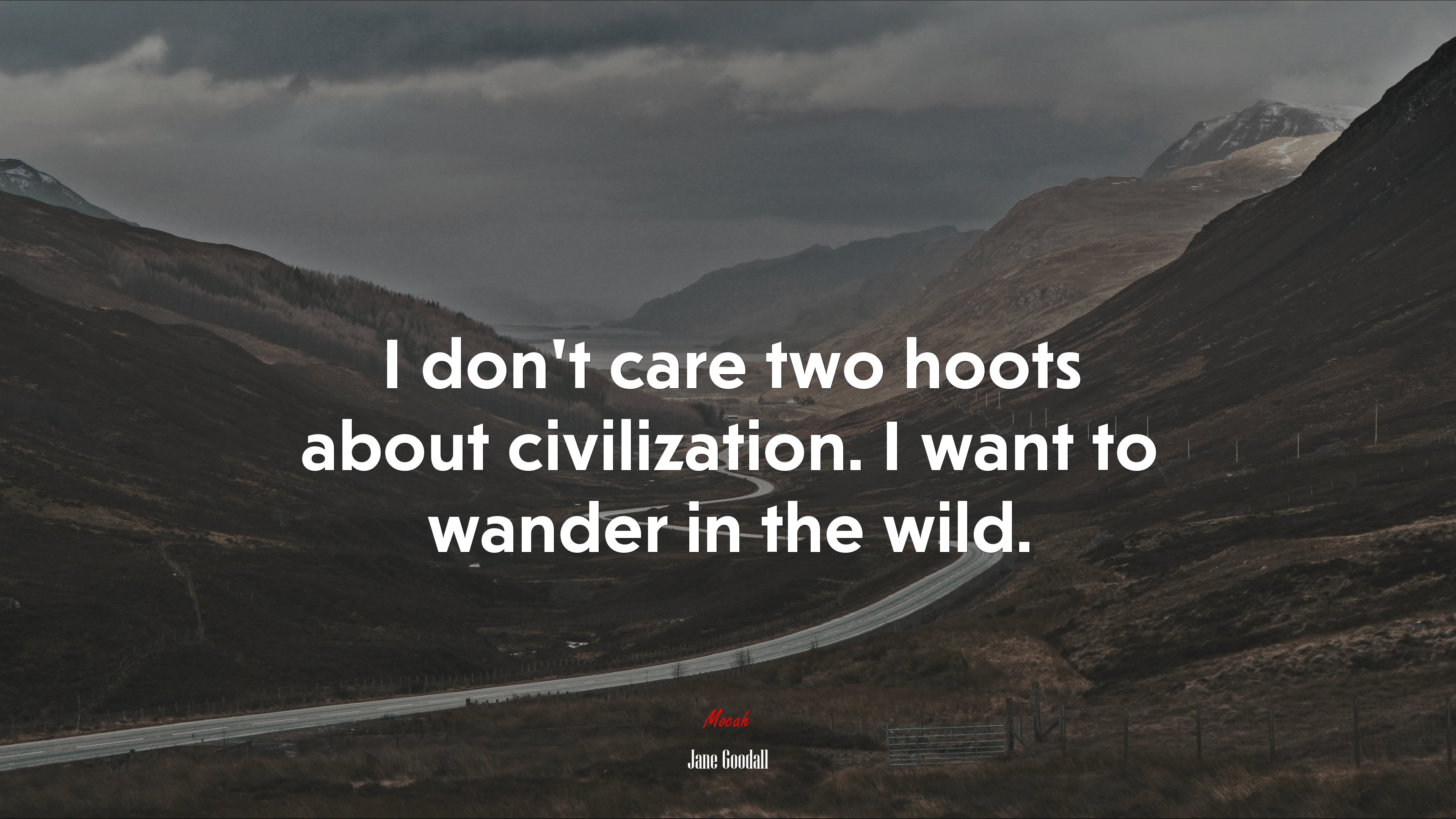 I don’t care two hoots about civilization. I want to wander in the wild. | Jane Goodall quote HD Wallpaper
