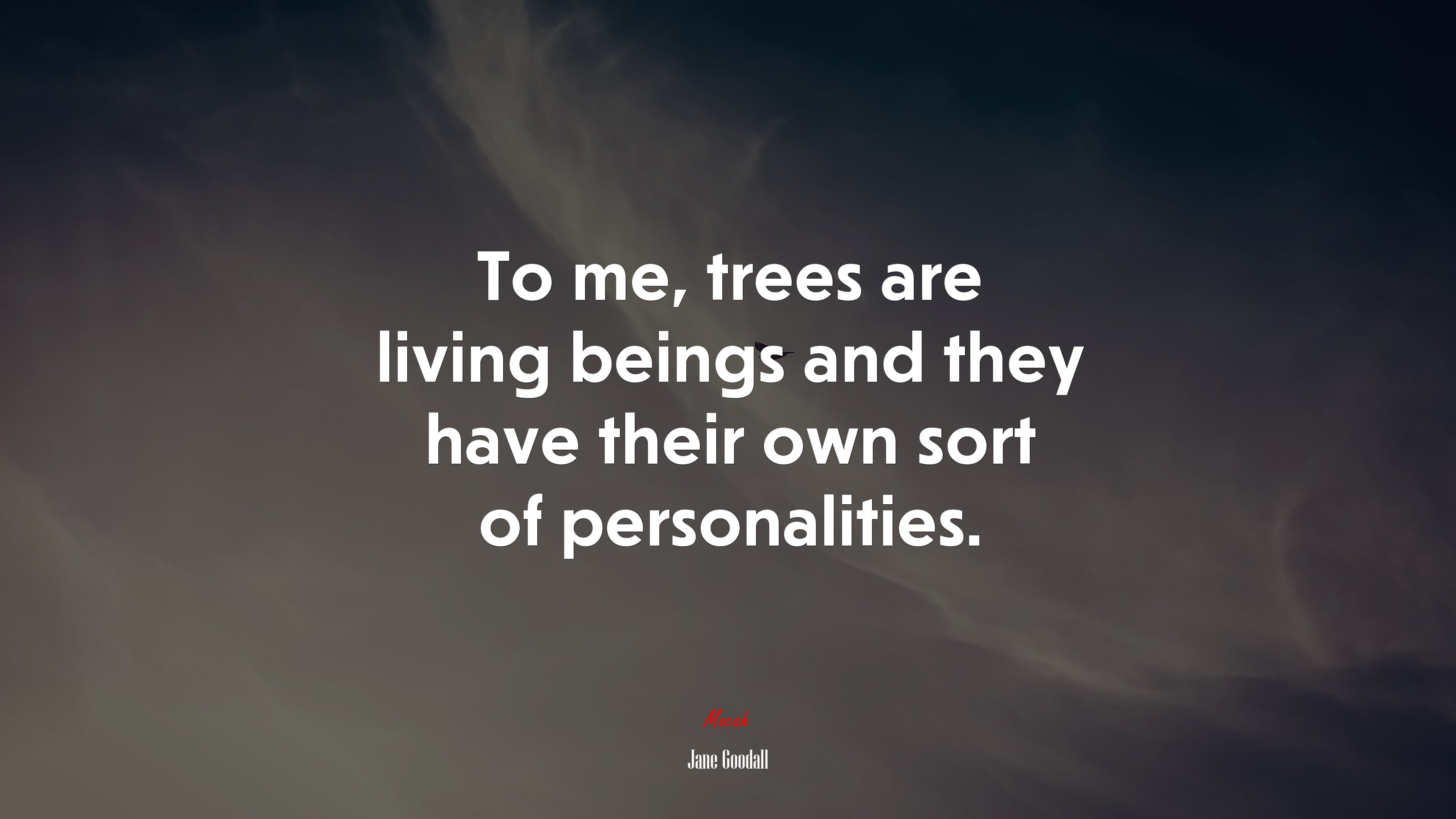 To me, trees are living beings and they have their own sort of personalities. | Jane Goodall quote HD Wallpaper