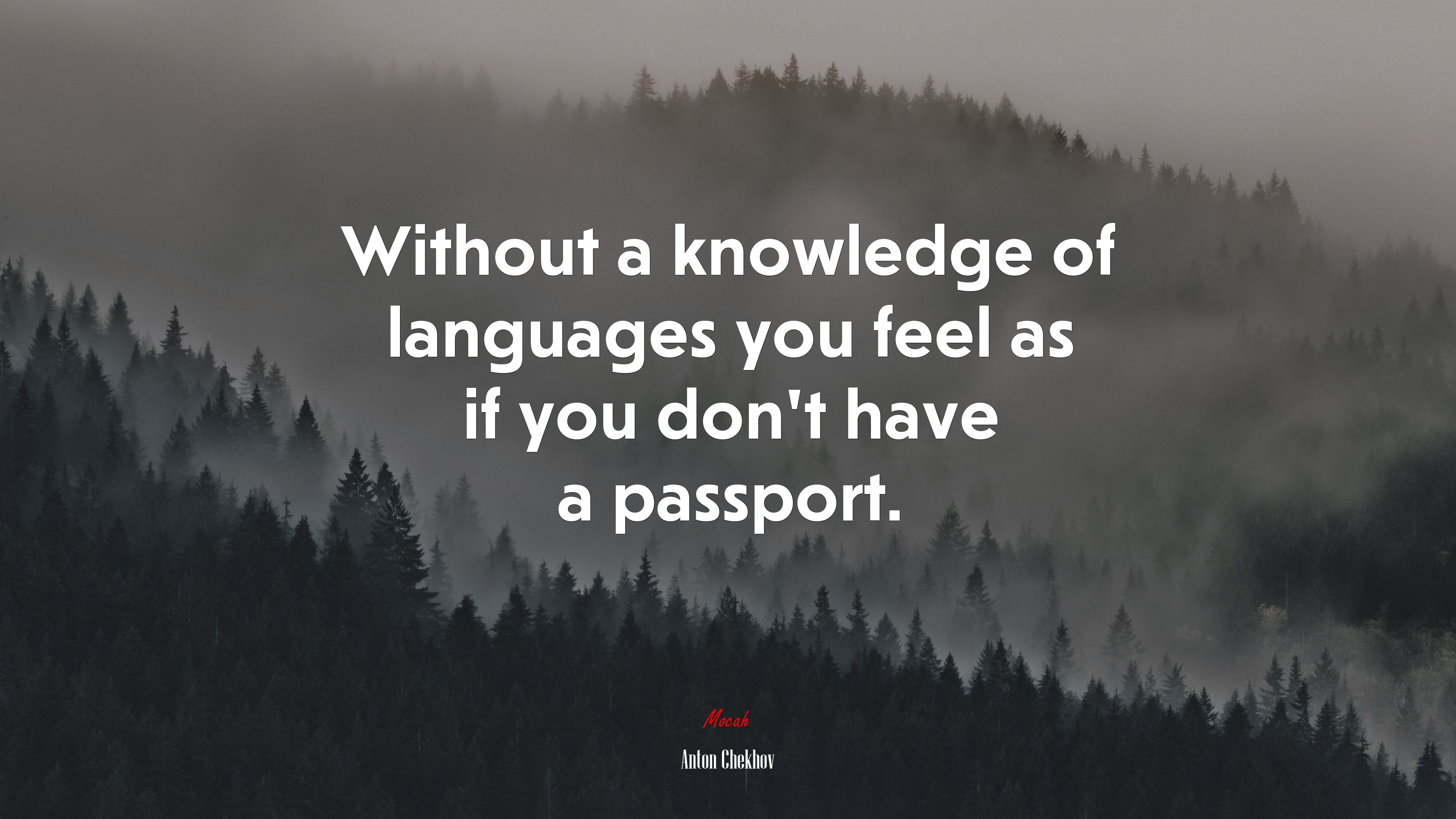 Without a knowledge of languages you feel as if you don’t have a passport. | Anton Chekhov quote HD Wallpaper