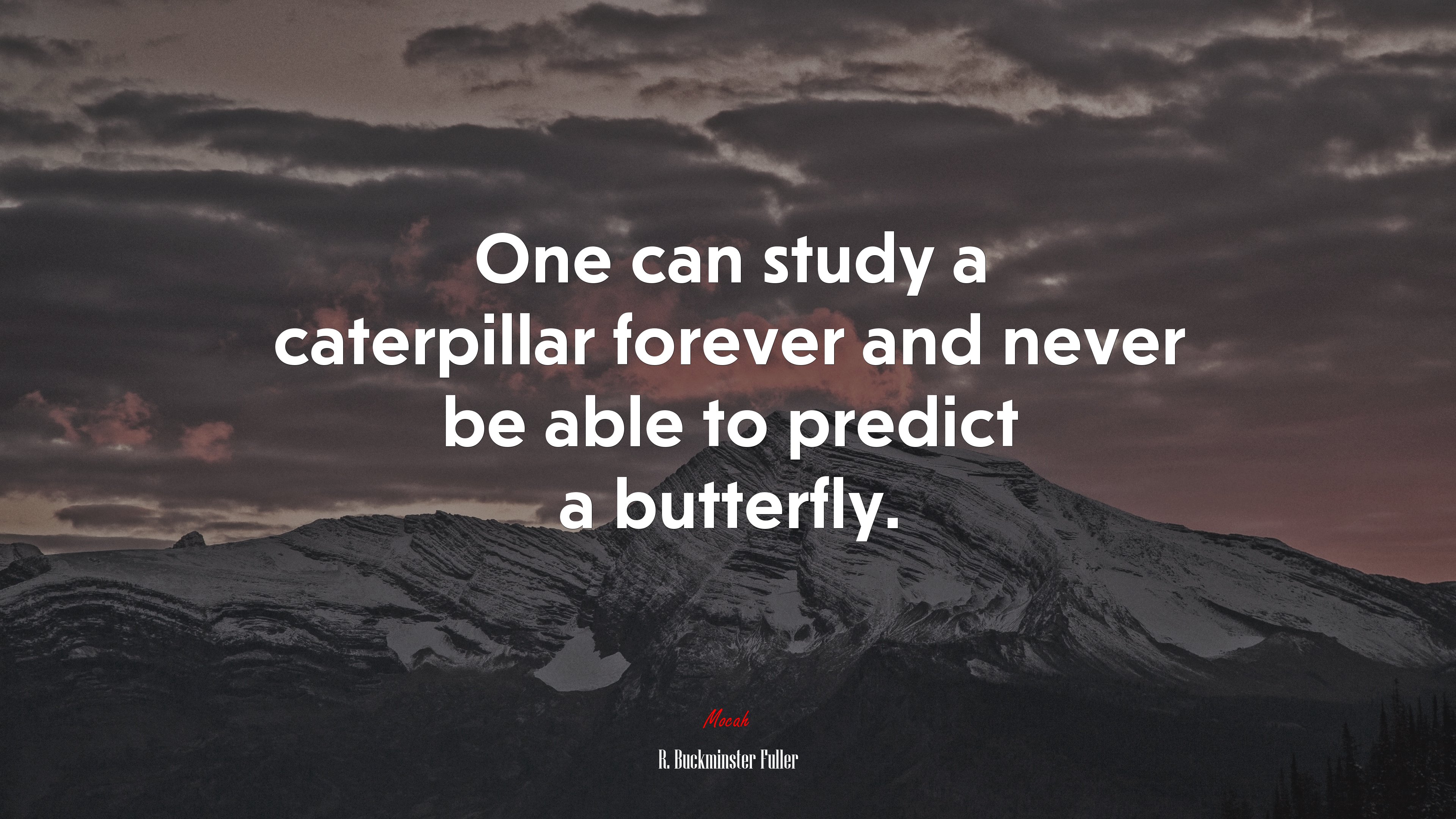 One can study a caterpillar forever and never be able to predict a butterfly. | R. Buckminster Fuller quote HD Wallpaper