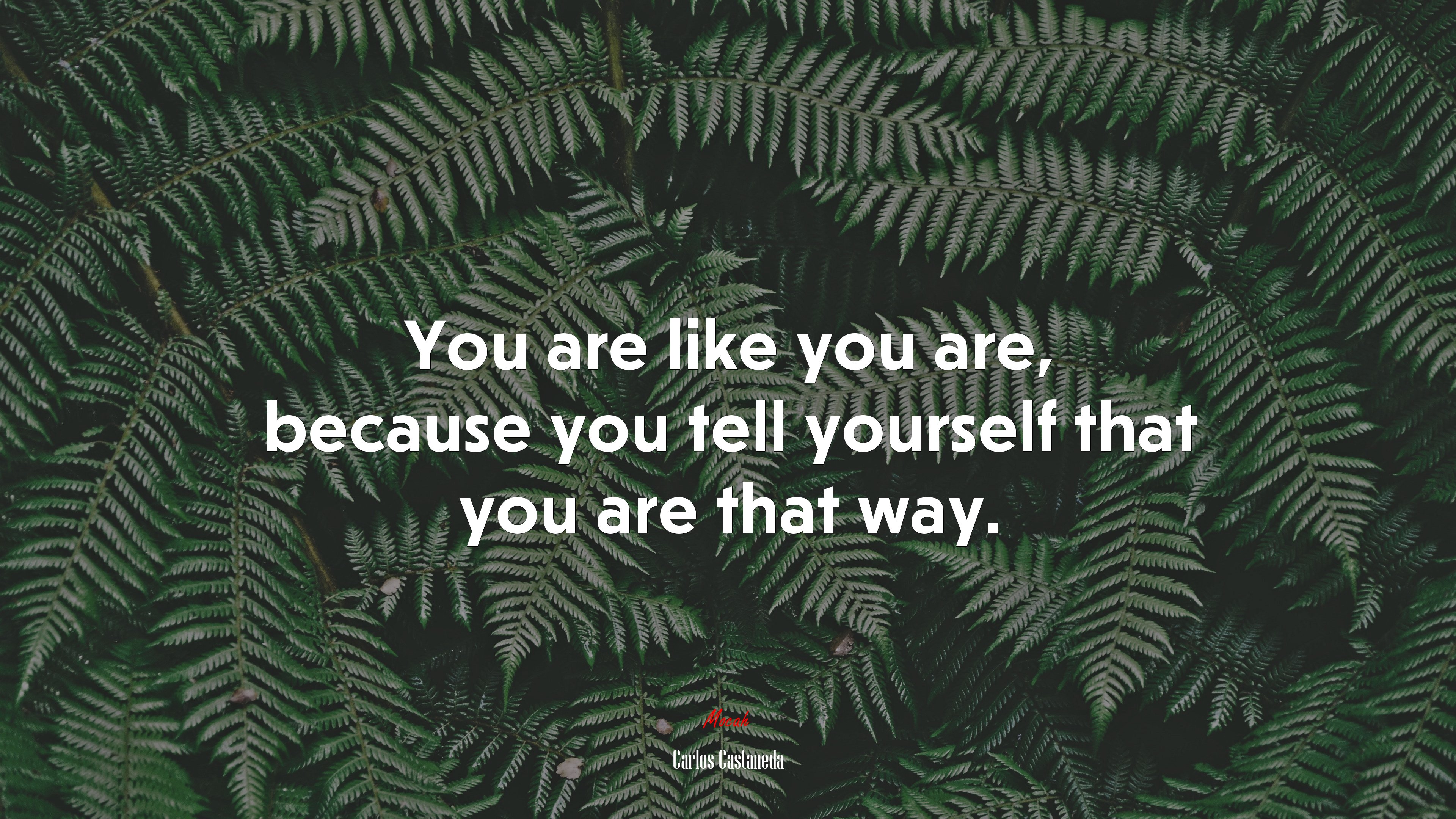 You are like you are, because you tell yourself that you are that way. | Carlos Castaneda quote HD Wallpaper
