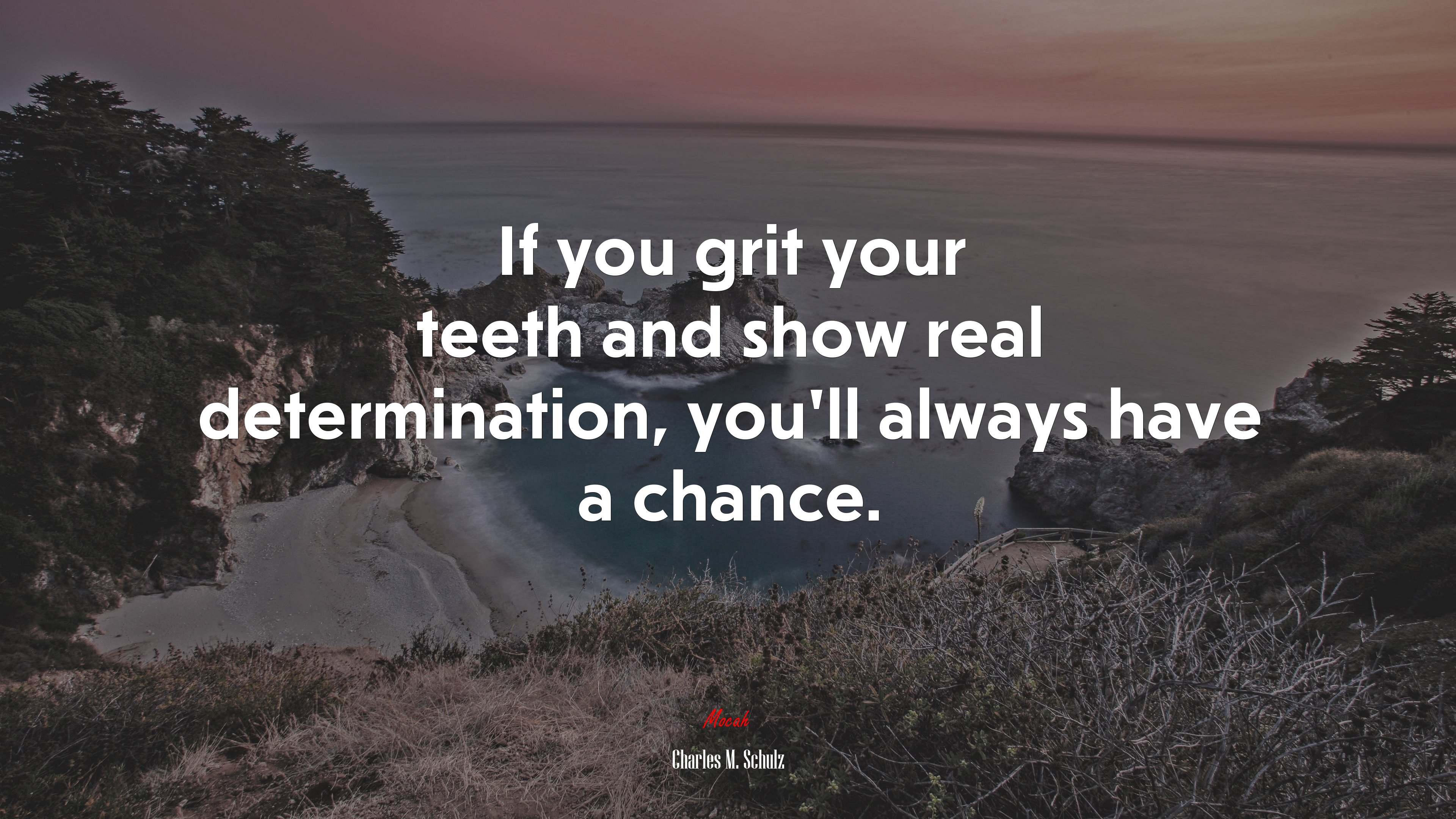 If you grit your teeth and show real determination, you’ll always have a chance. | Charles M. Schulz quote HD Wallpaper