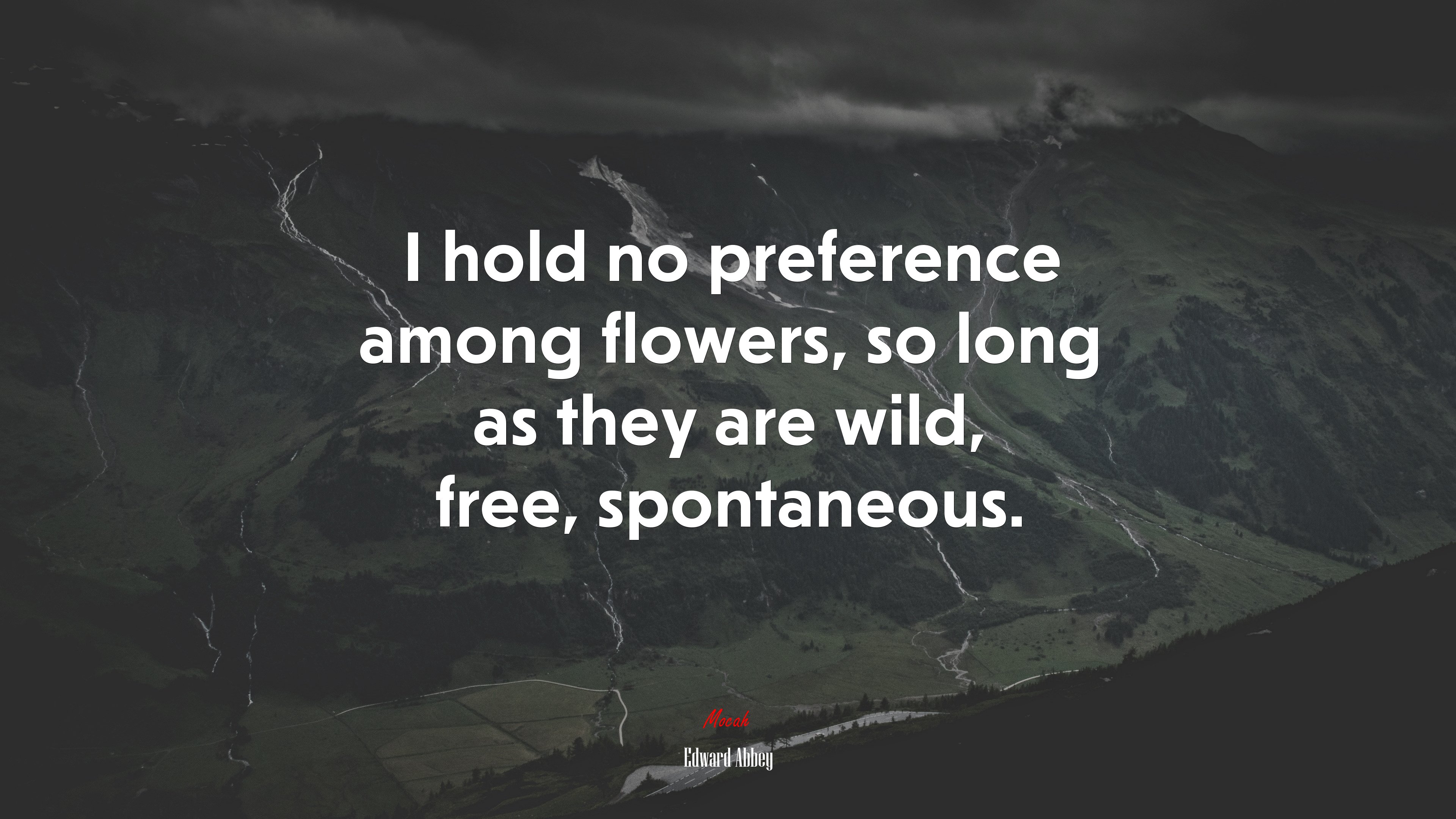 I hold no preference among flowers, so long as they are wild, free, spontaneous. | Edward Abbey quote HD Wallpaper