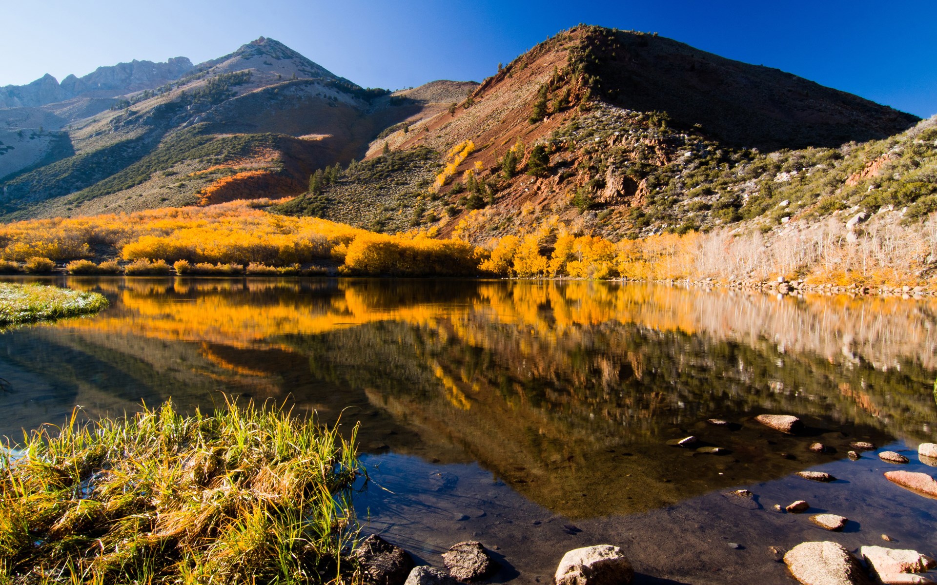 Autumn trees reflecting in a mountain lake HD Wallpaper