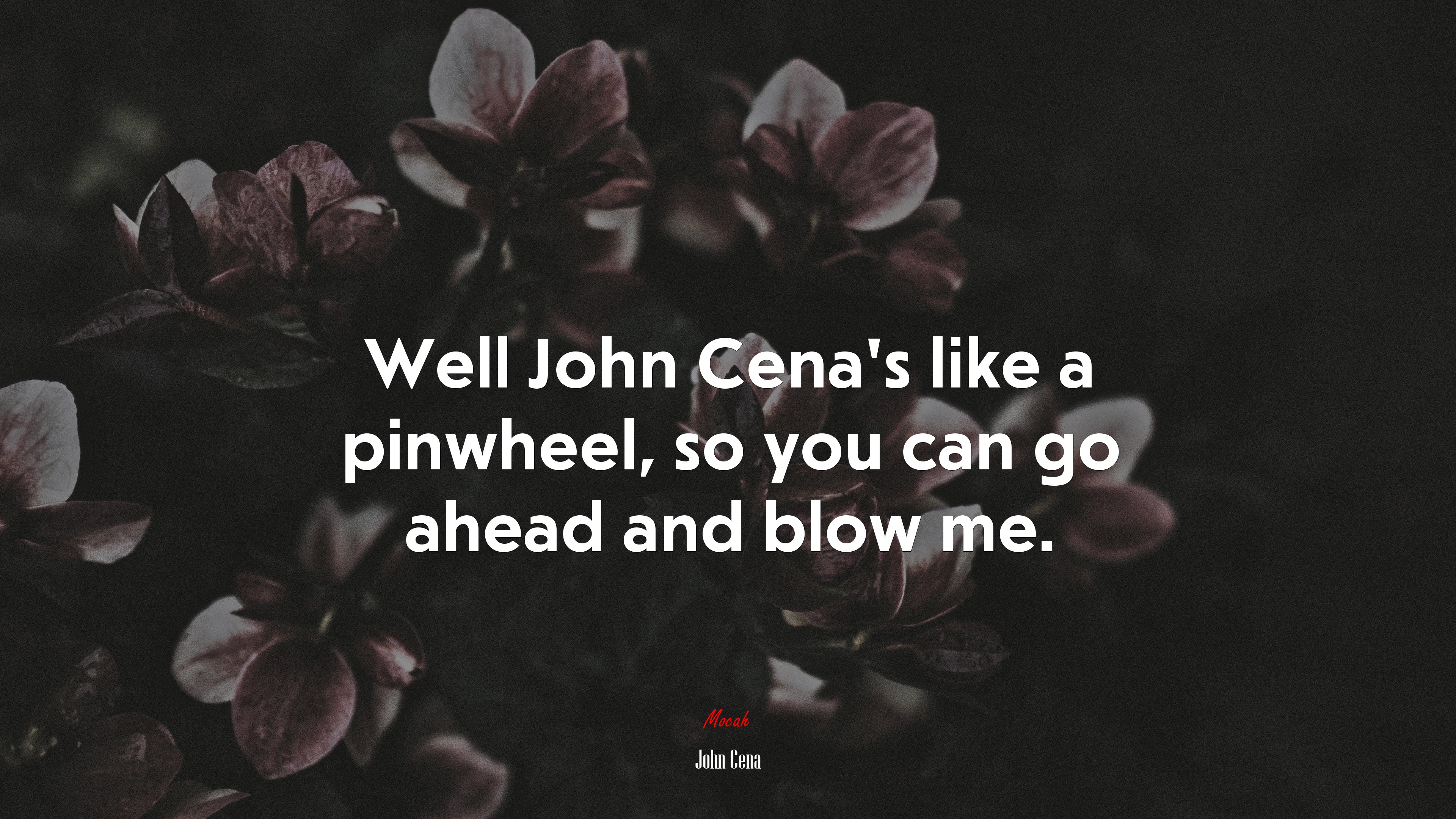 Well John Cena’s like a pinwheel, so you can go ahead and blow me. | John Cena quote HD Wallpaper