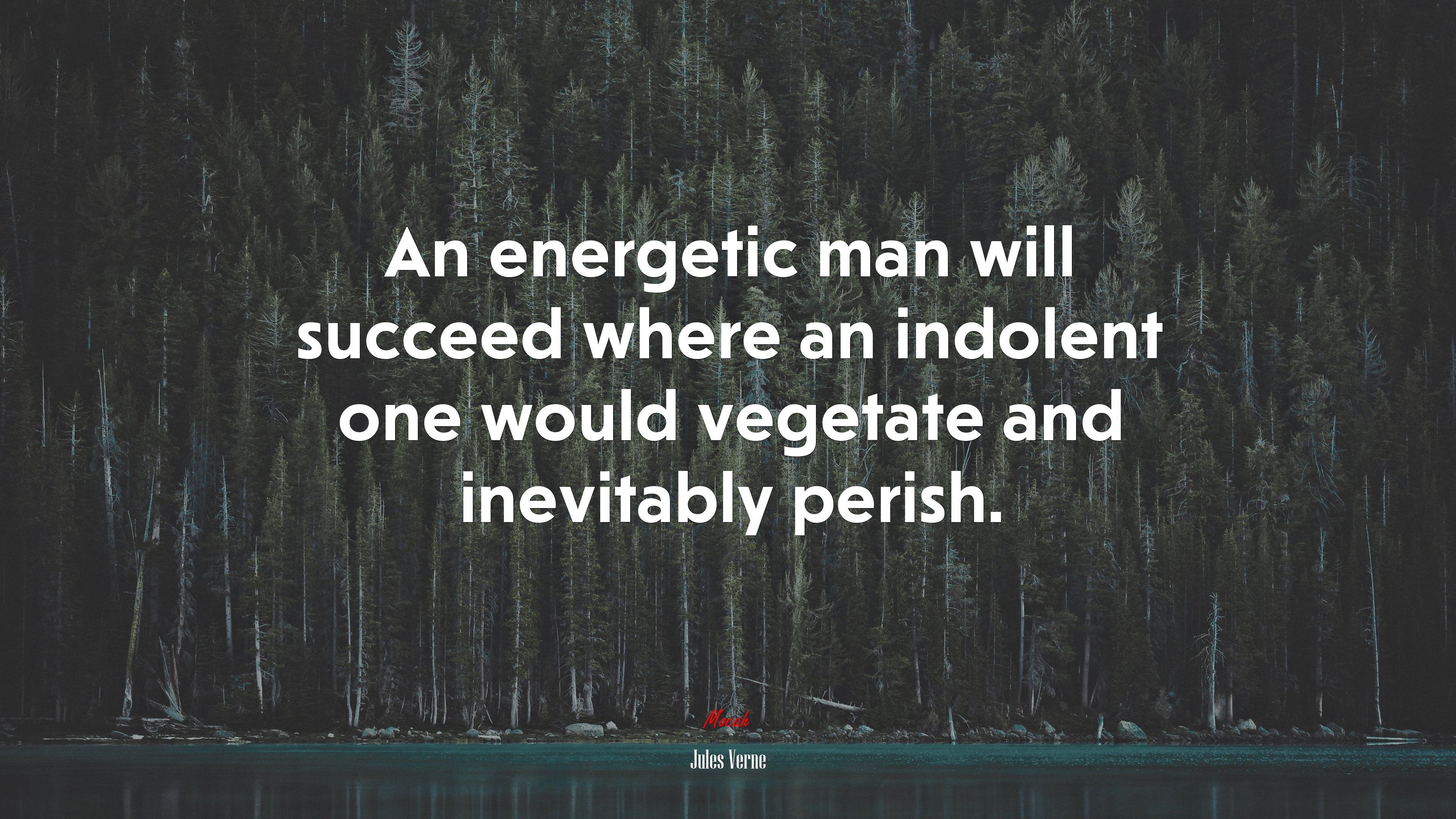 An energetic man will succeed where an indolent one would vegetate and inevitably perish. | Jules Verne quote HD Wallpaper