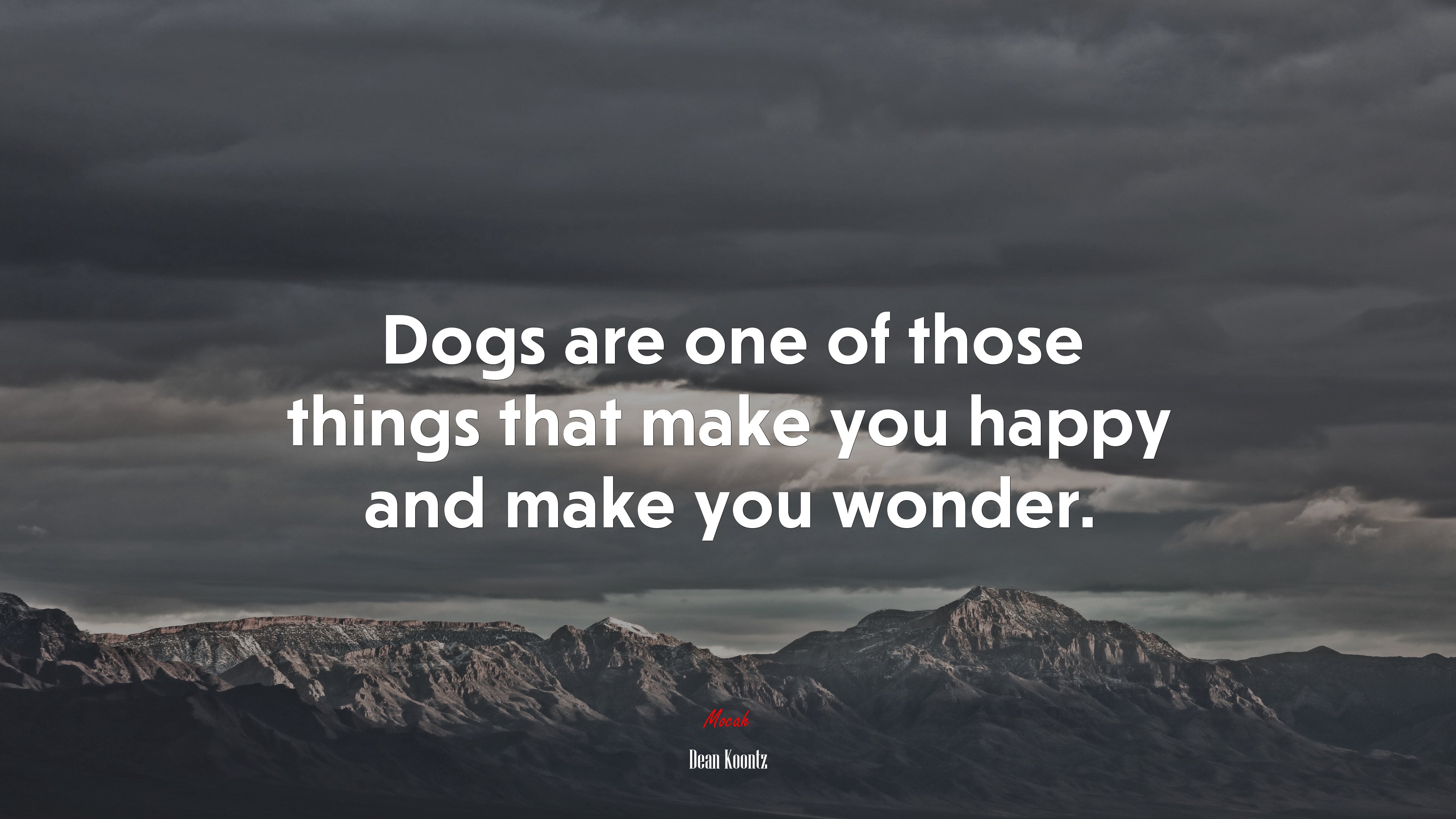 Dogs are one of those things that make you happy and make you wonder. | Dean Koontz quote HD Wallpaper