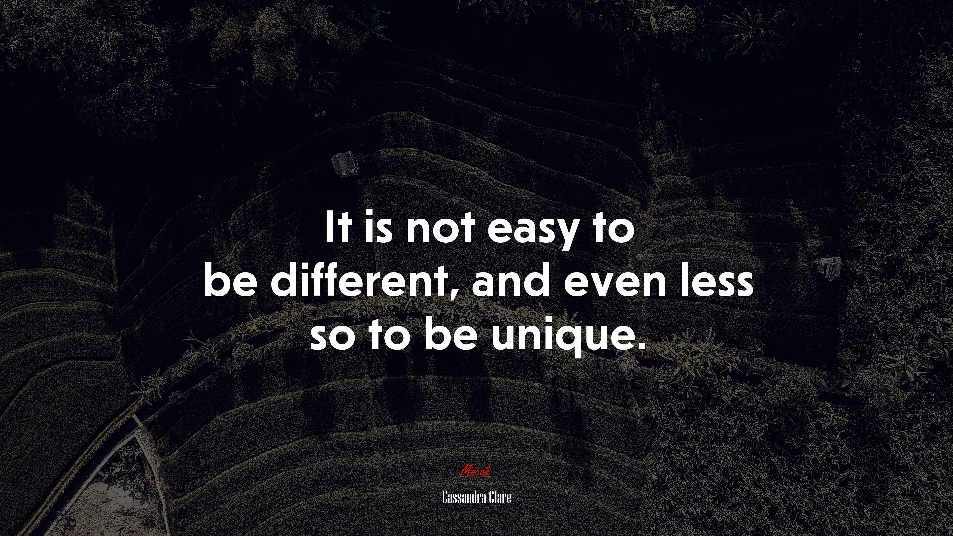 It is not easy to be different, and even less so to be unique. | Cassandra Clare quote HD Wallpaper