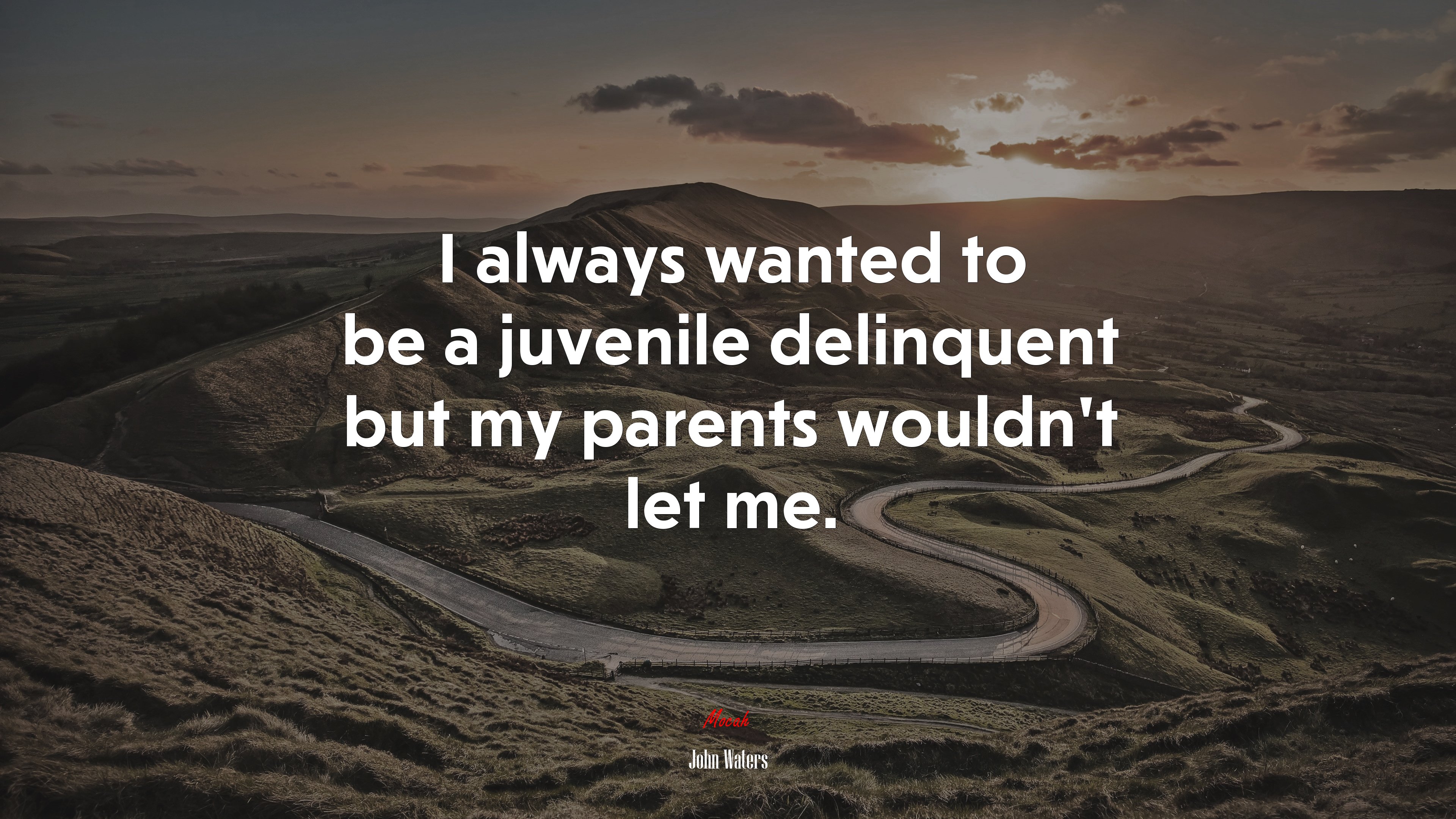 I always wanted to be a juvenile delinquent but my parents wouldn’t let me. | John Waters quote HD Wallpaper