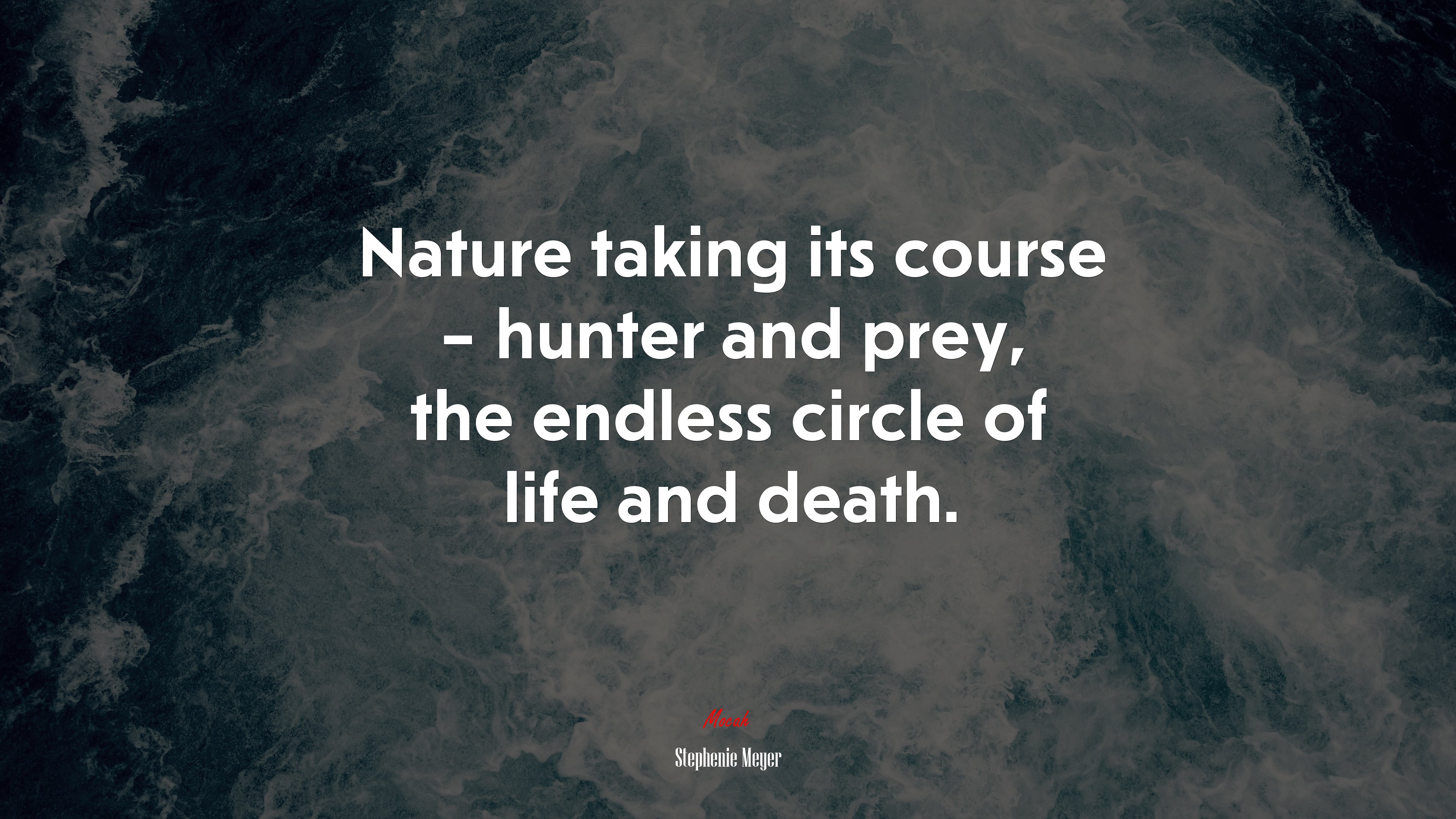 Nature taking its course – hunter and prey, the endless circle of life and death. | Stephenie Meyer quote HD Wallpaper