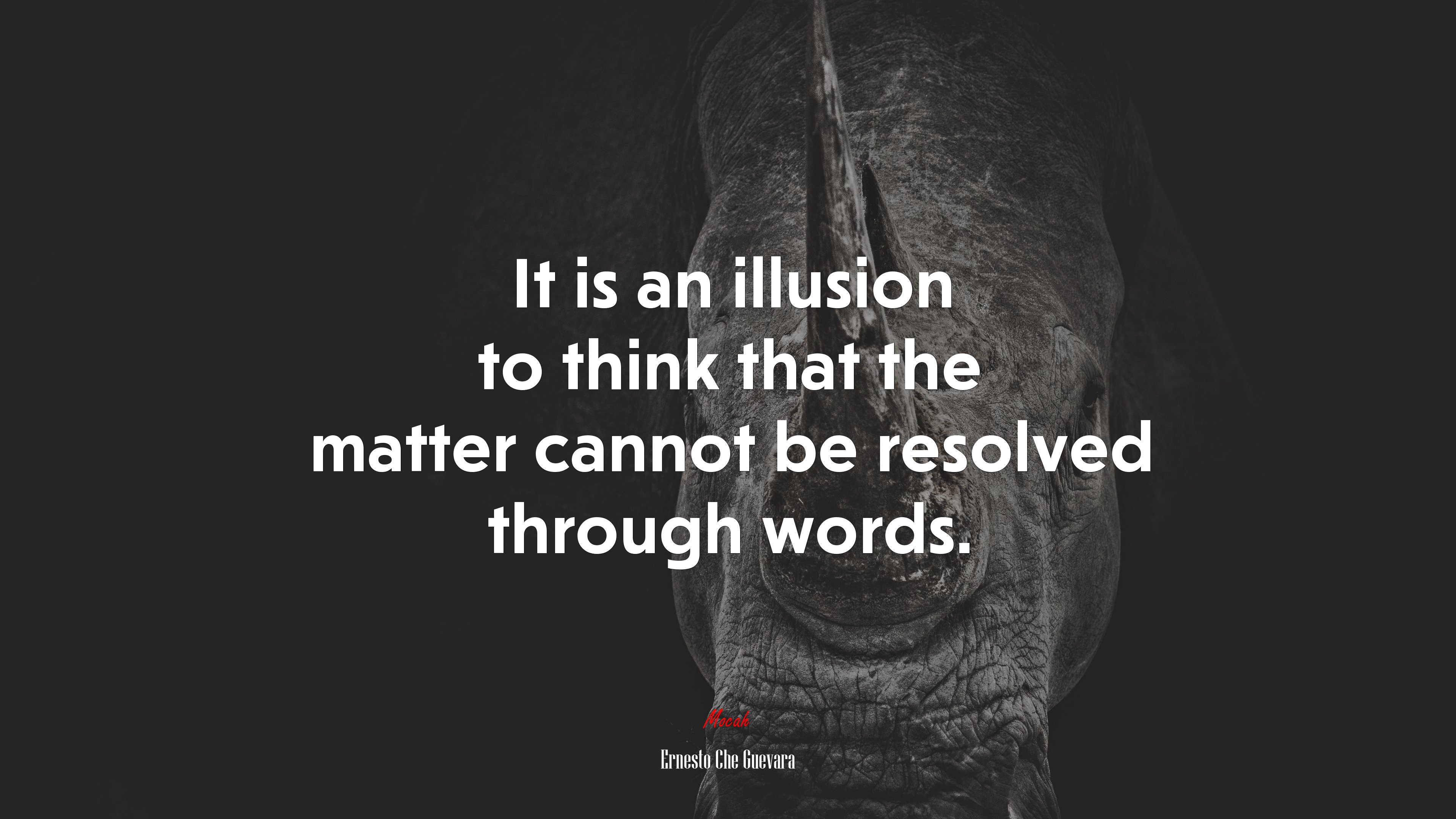It is an illusion to think that the matter cannot be resolved through words. | Ernesto Che Guevara quote HD Wallpaper