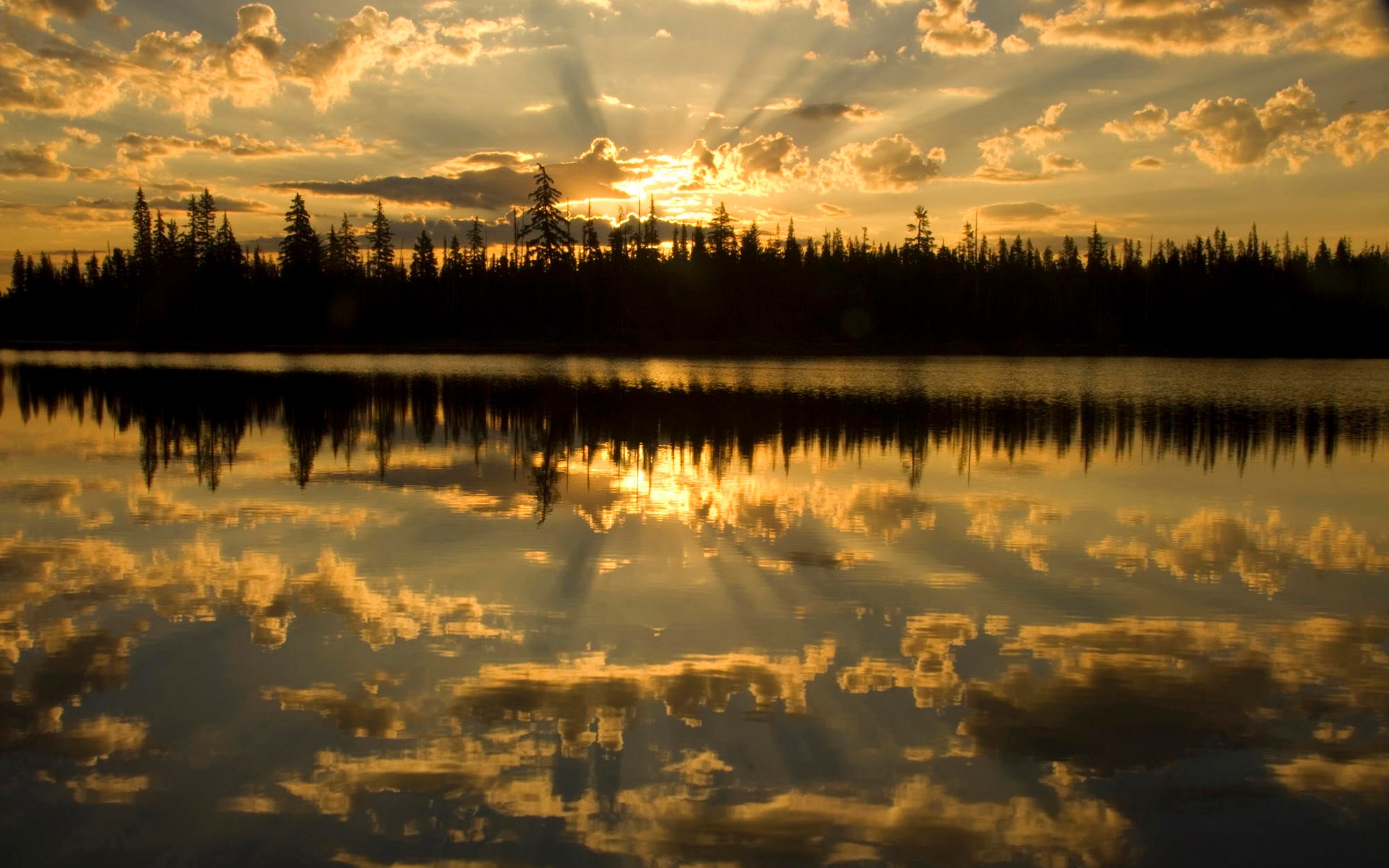 Sunset over a lake with silhouetted trees and reflection HD Wallpaper