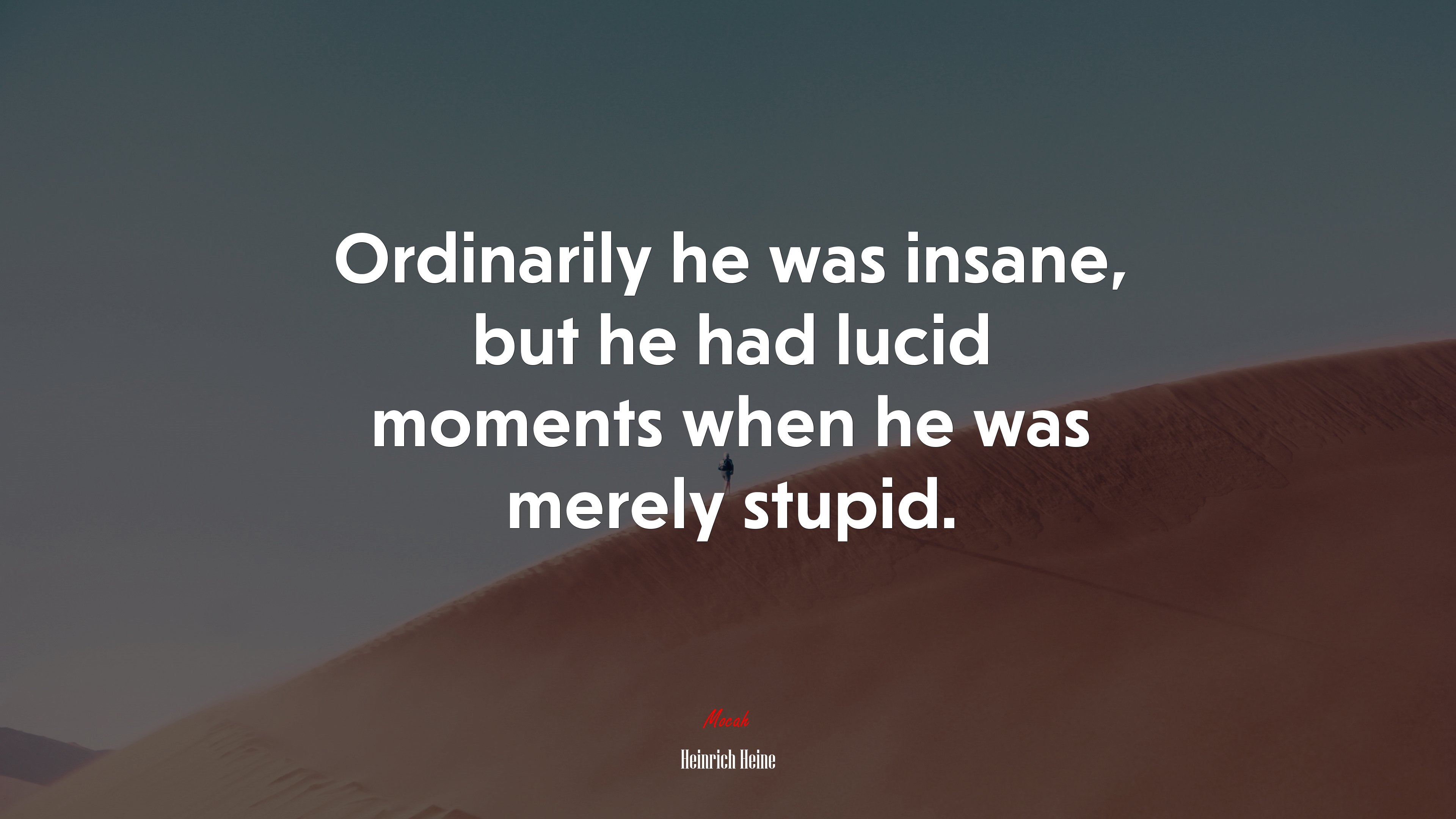 Ordinarily he was insane, but he had lucid moments when he was merely stupid. | Heinrich Heine quote HD Wallpaper