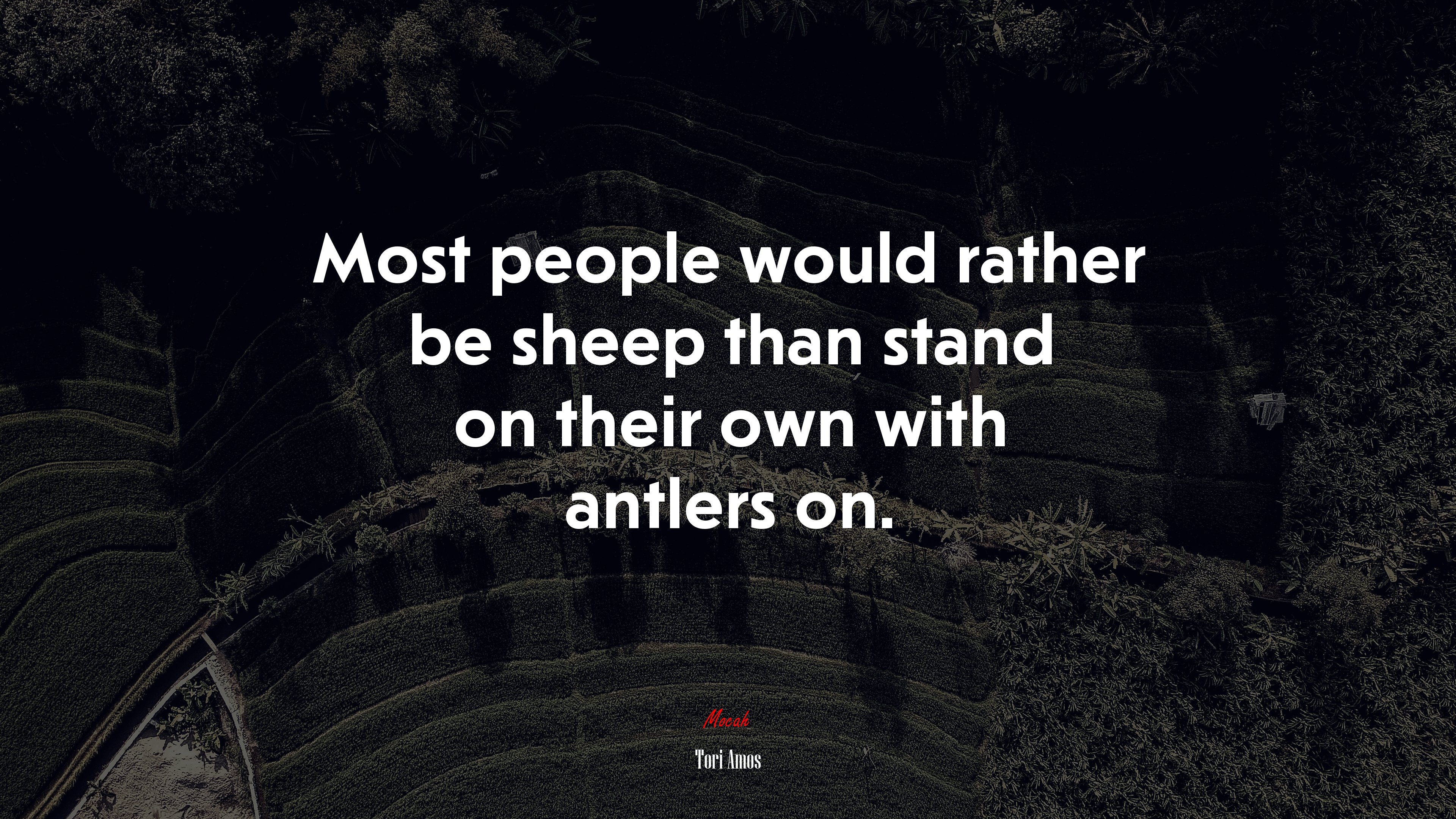 Most people would rather be sheep than stand on their own with antlers on. | Tori Amos quote HD Wallpaper