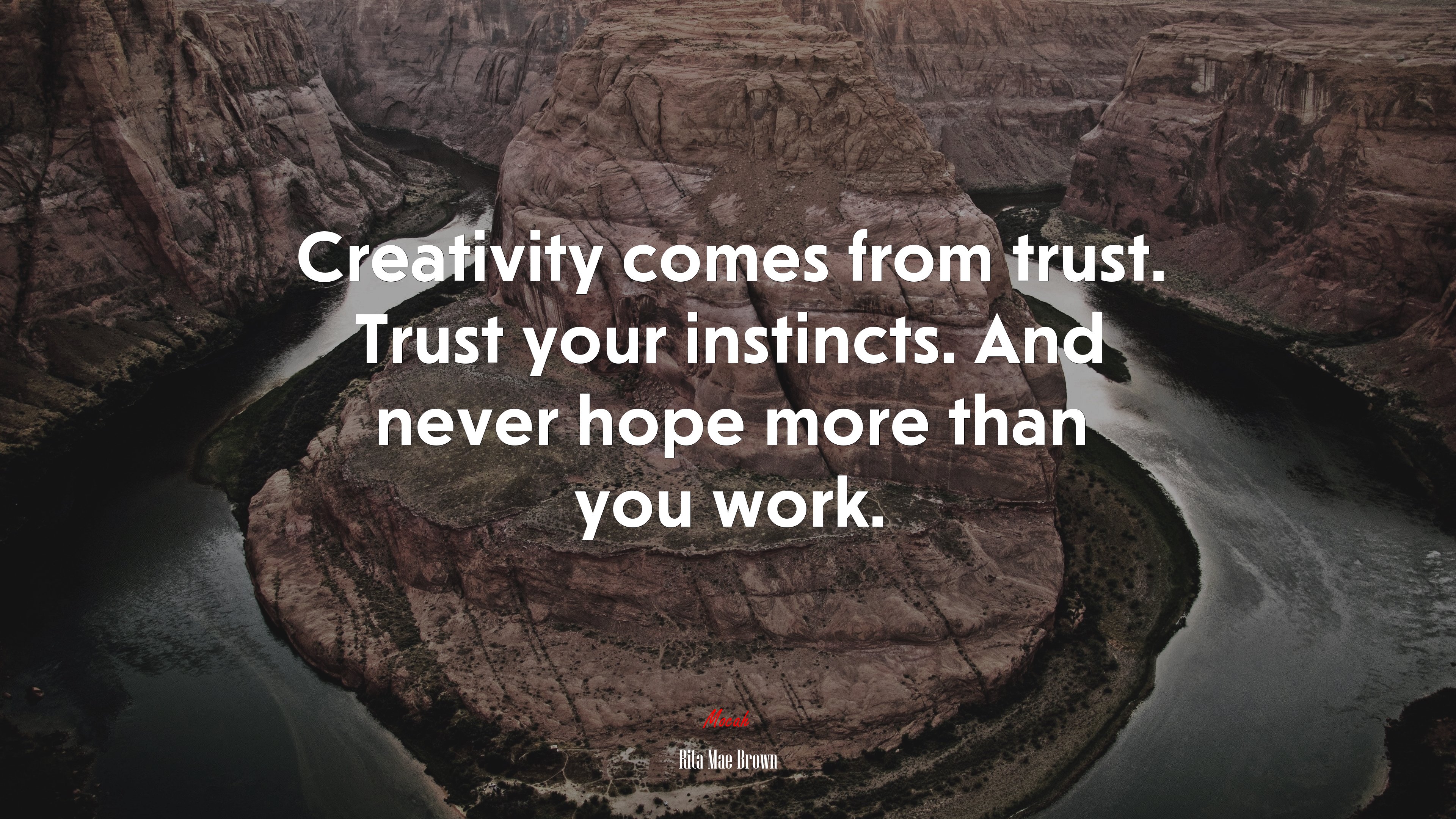 Creativity comes from trust. Trust your instincts. And never hope more than you work. | Rita Mae Brown quote HD Wallpaper