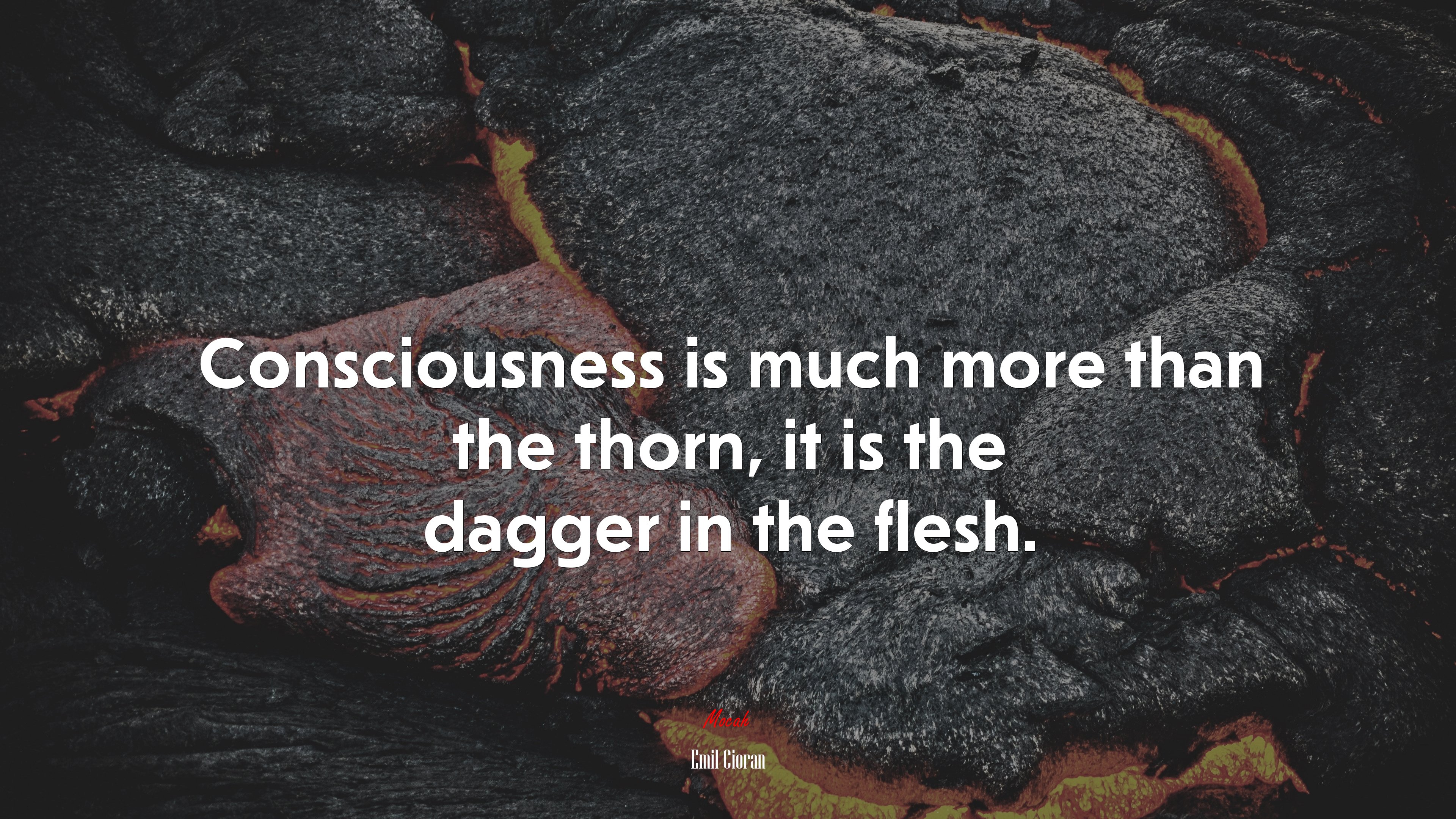 Consciousness is much more than the thorn, it is the dagger in the flesh. | Emil Cioran quote HD Wallpaper
