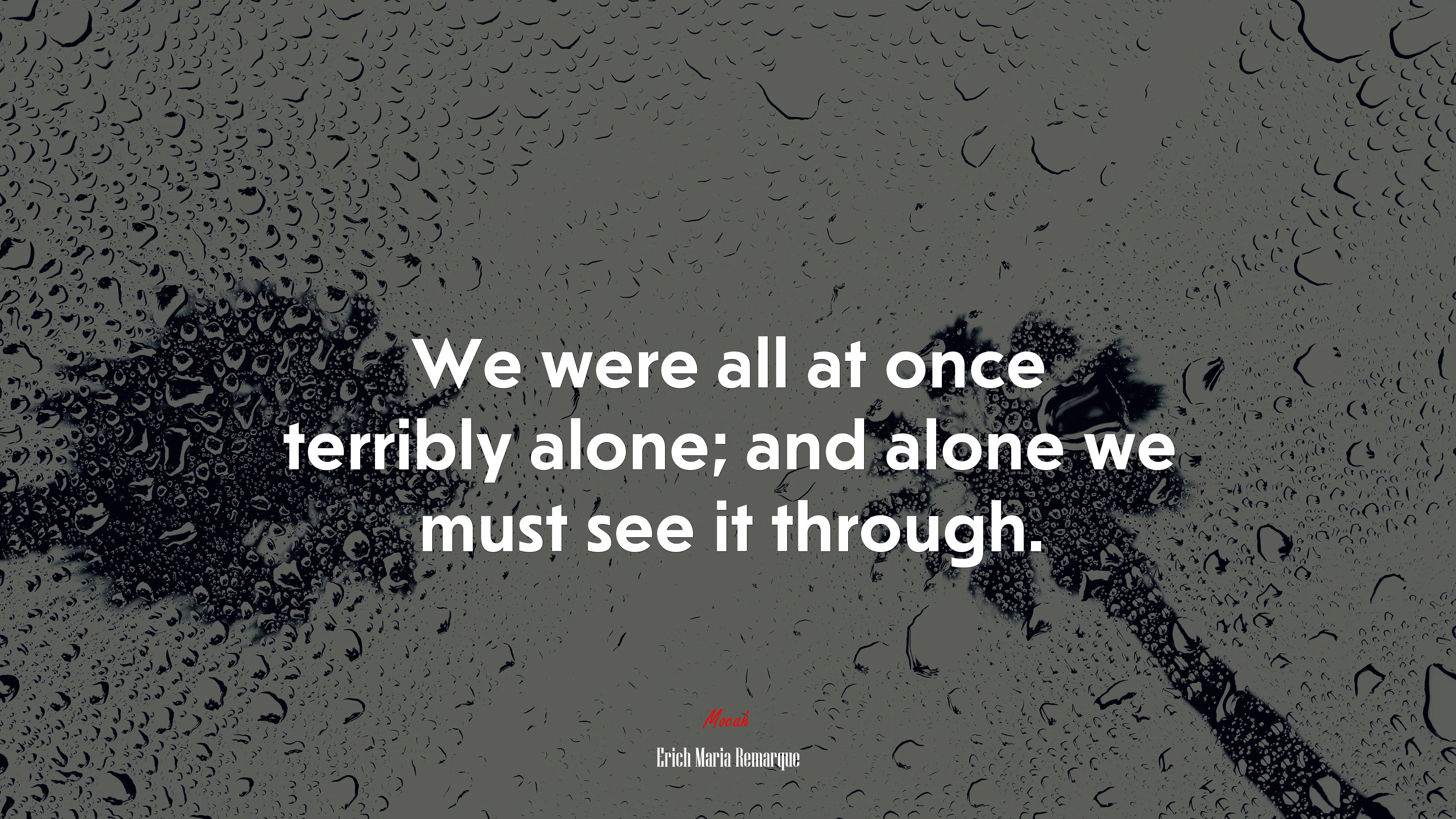 We were all at once terribly alone; and alone we must see it through. | Erich Maria Remarque quote HD Wallpaper