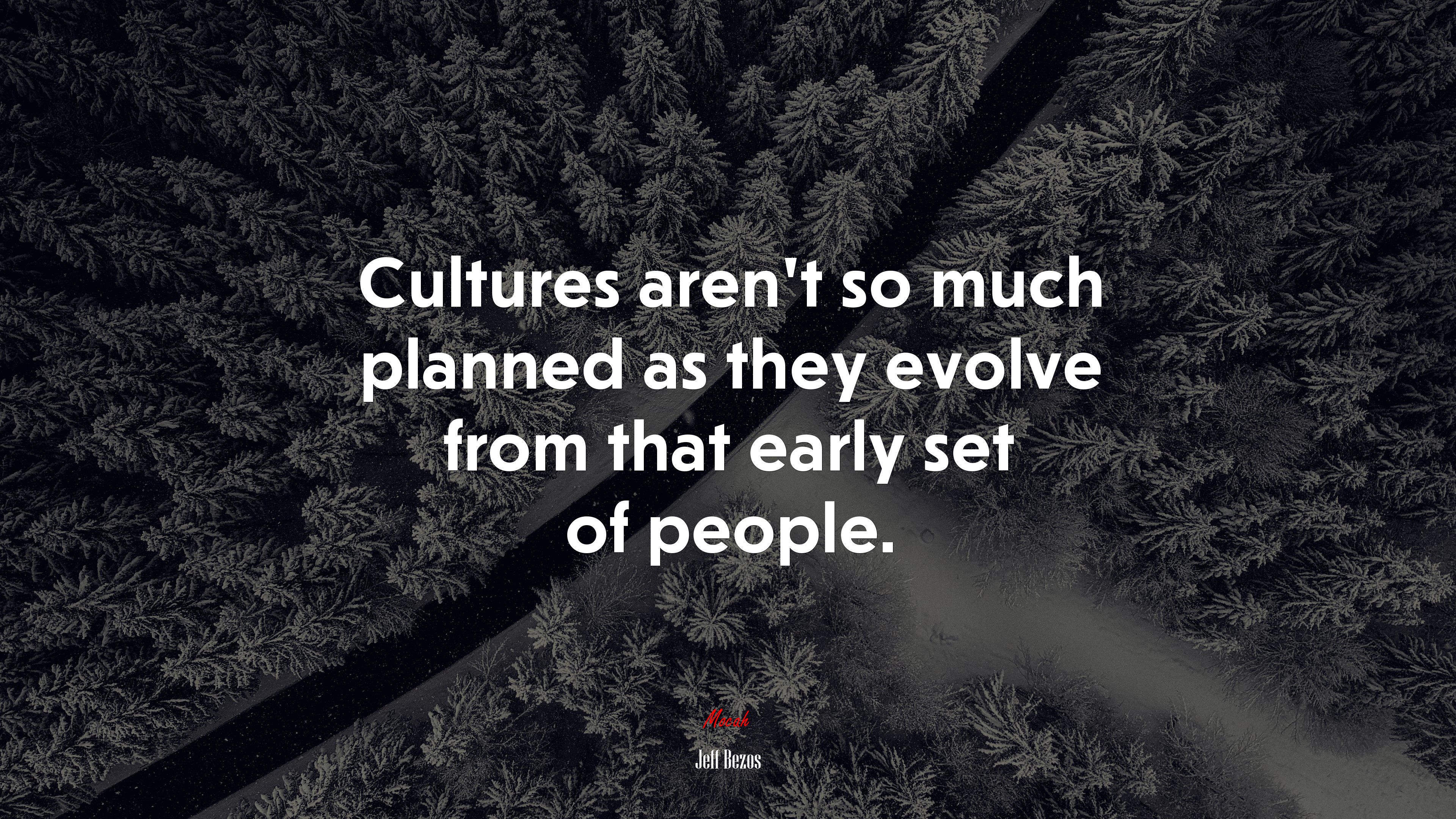Cultures aren’t so much planned as they evolve from that early set of people. | Jeff Bezos quote HD Wallpaper