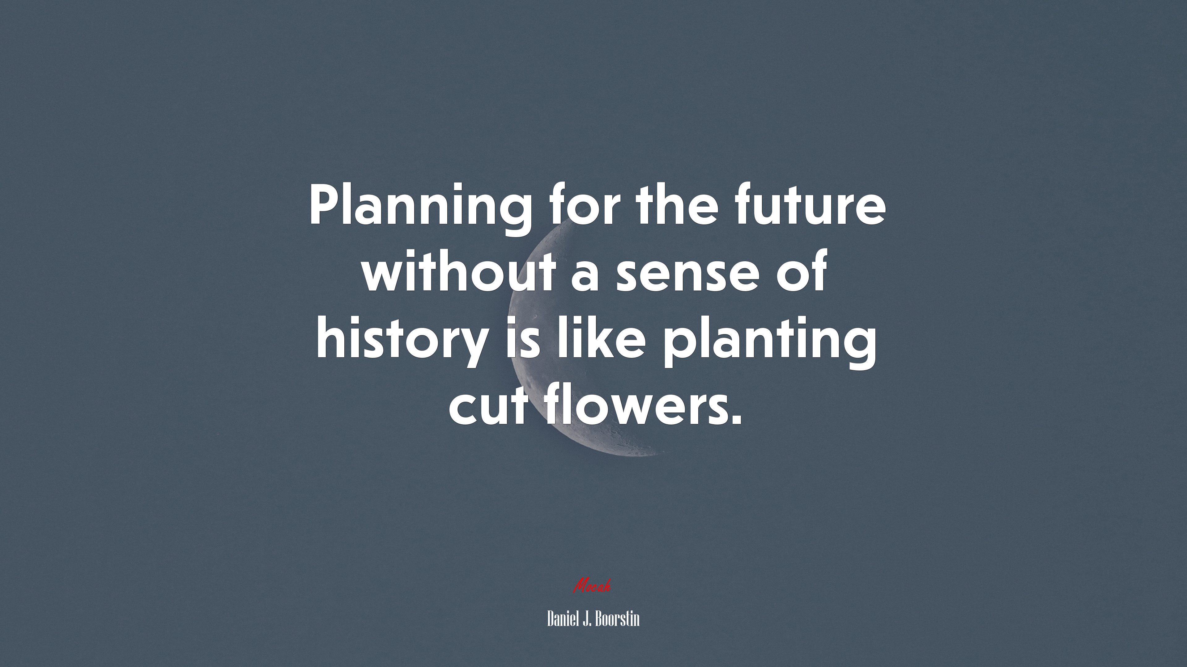 Planning for the future without a sense of history is like planting cut flowers. | Daniel J. Boorstin quote HD Wallpaper