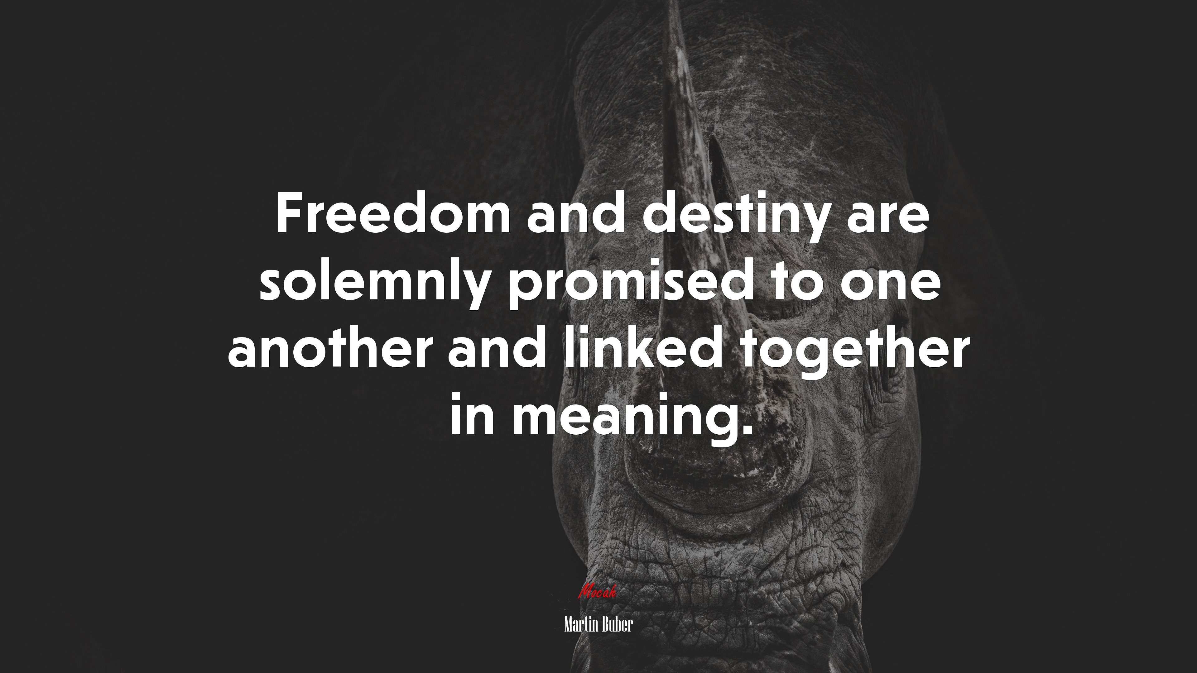 Freedom and destiny are solemnly promised to one another and linked together in meaning. | Martin Buber quote HD Wallpaper