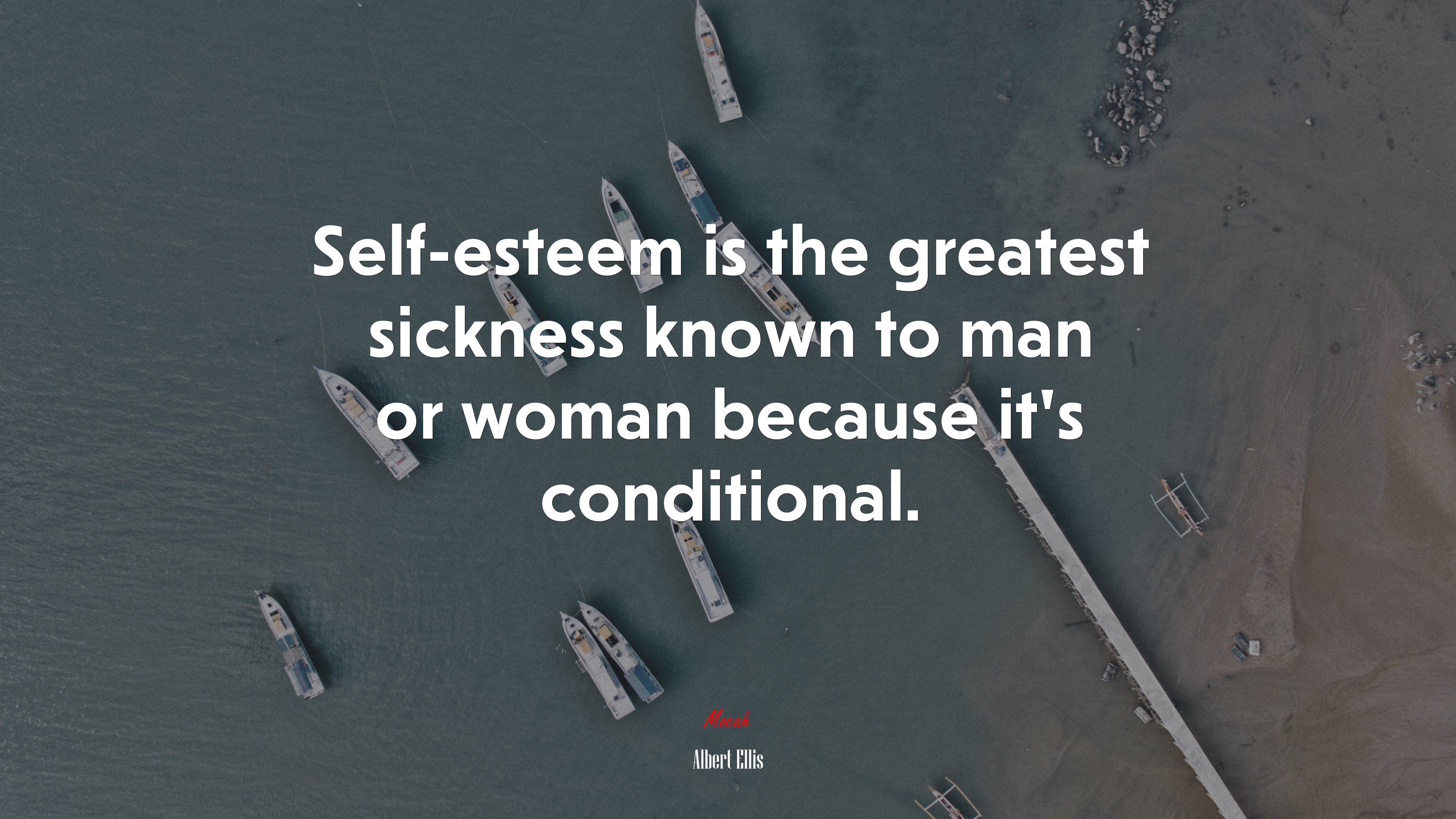 Self-esteem is the greatest sickness known to man or woman because it’s conditional. | Albert Ellis quote HD Wallpaper