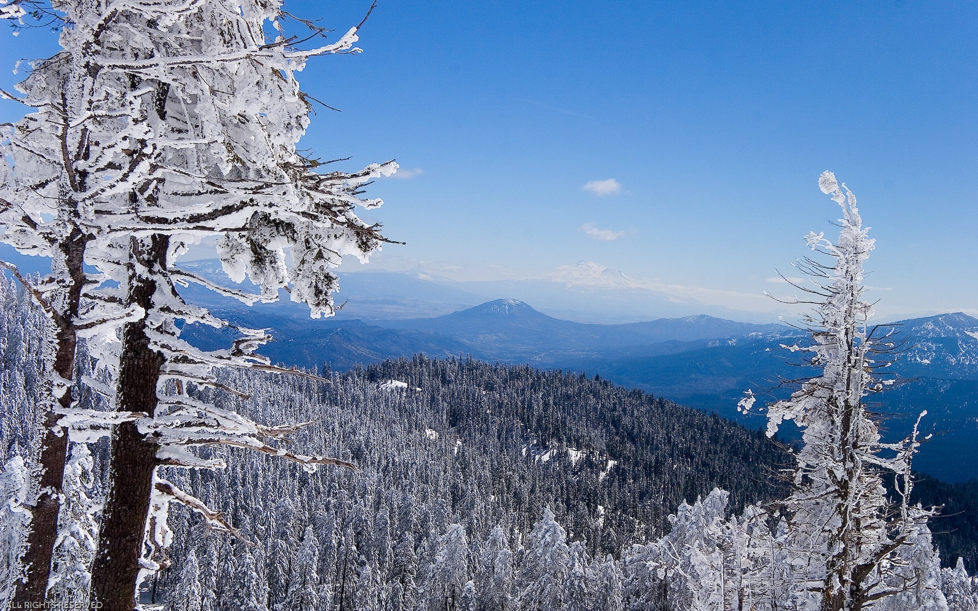 Snow-covered trees and mountains under a blue sky HD Wallpaper
